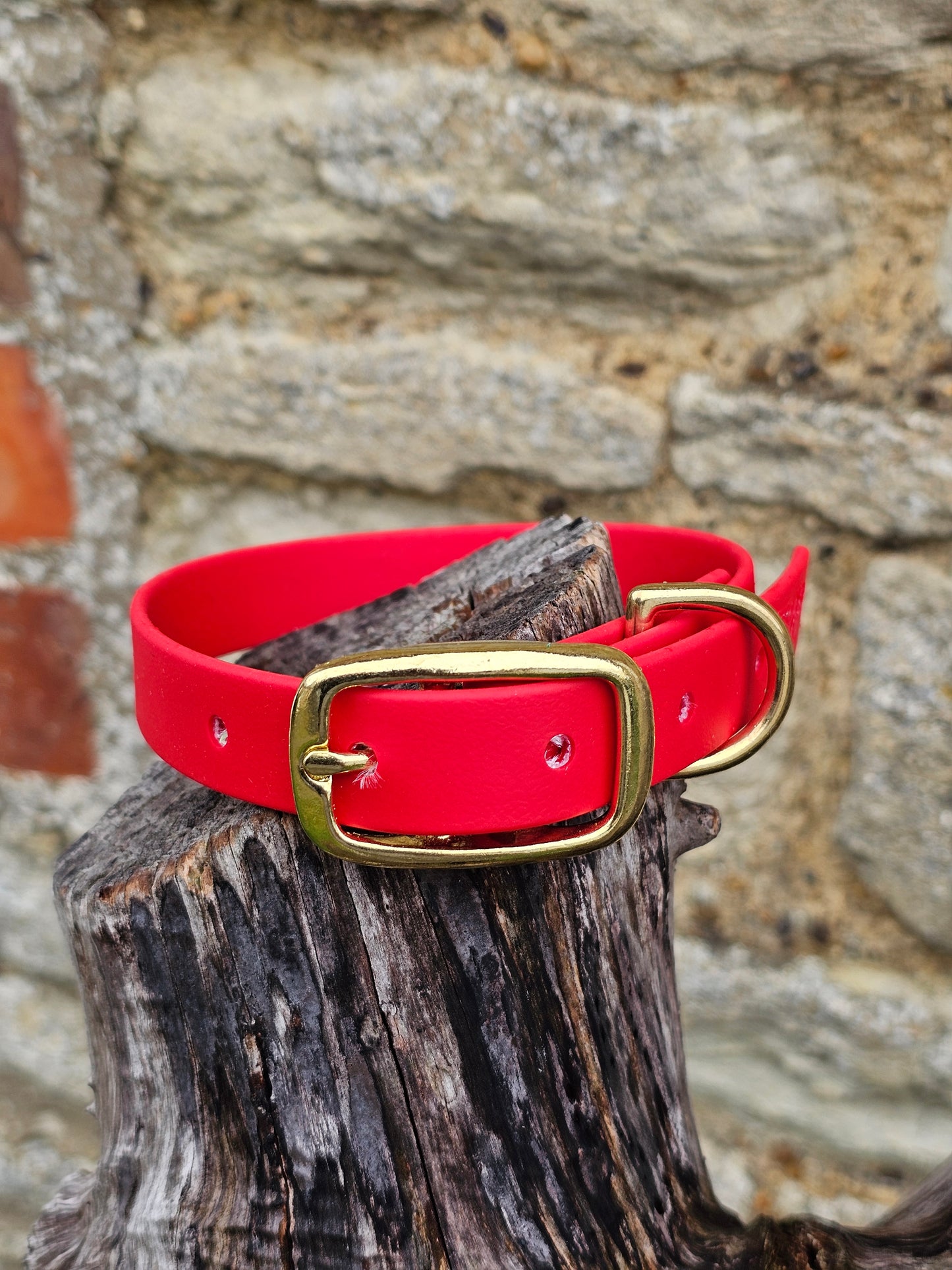 Red - Everlast Waterproof BioThane© Dog Collar