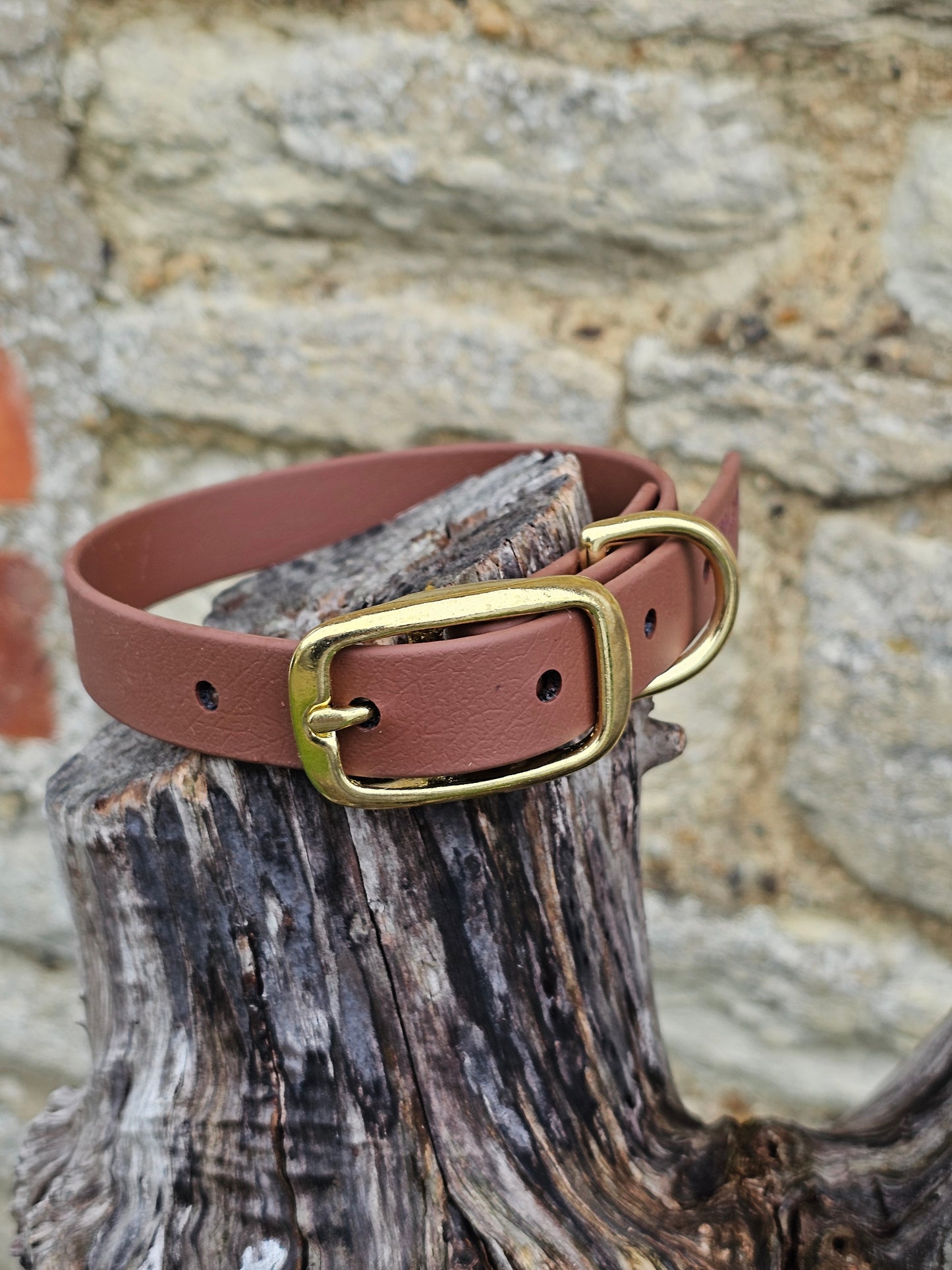 Brown - Everlast Waterproof BioThane© Dog Collar