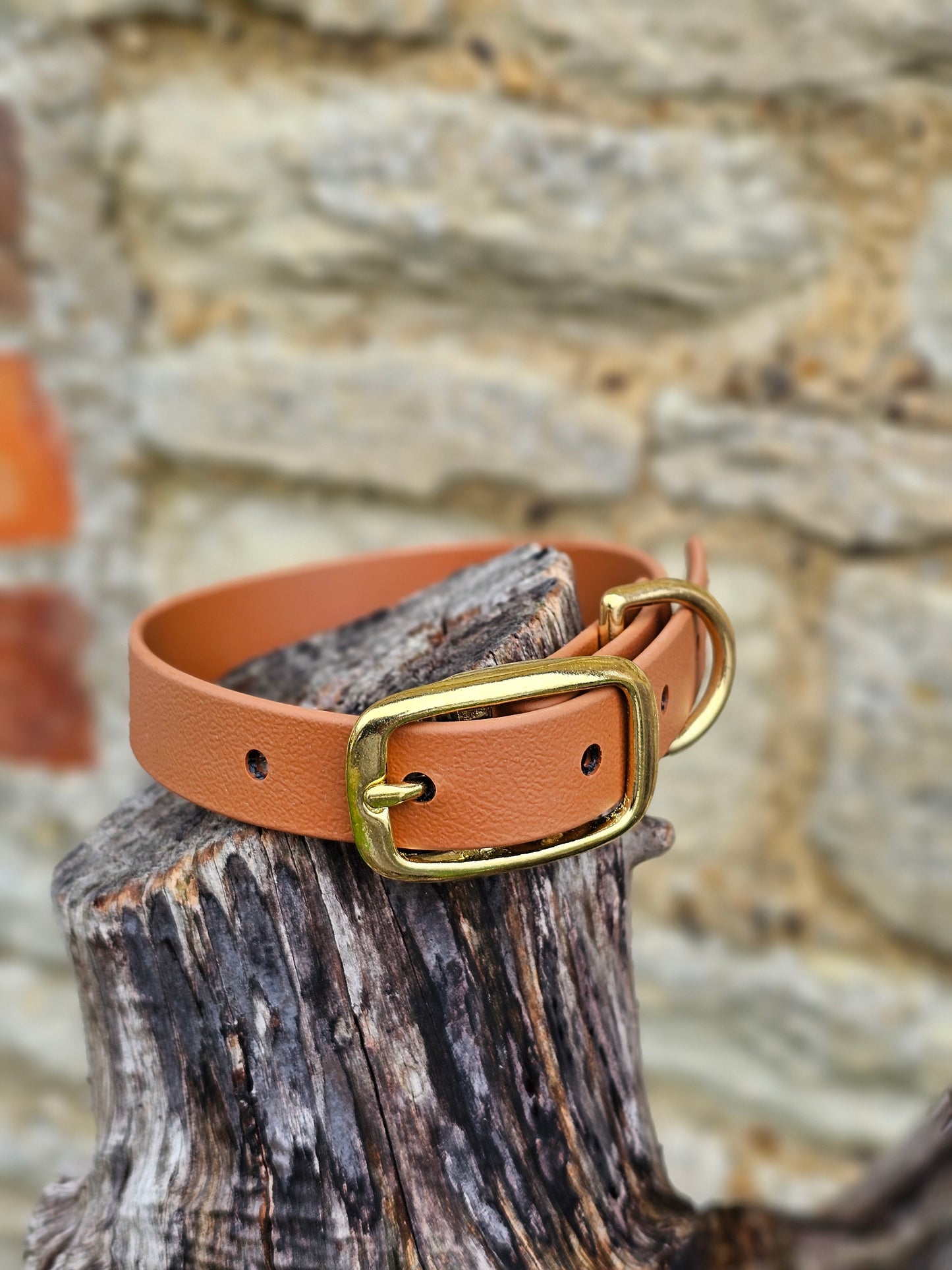 Tan - Everlast Waterproof BioThane© Dog Collar