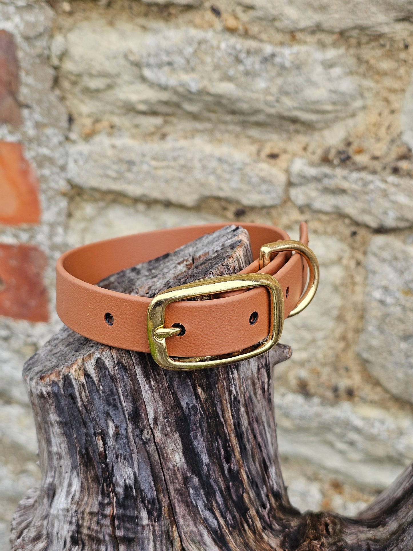 Tan - Everlast Waterproof BioThane© Dog Collar