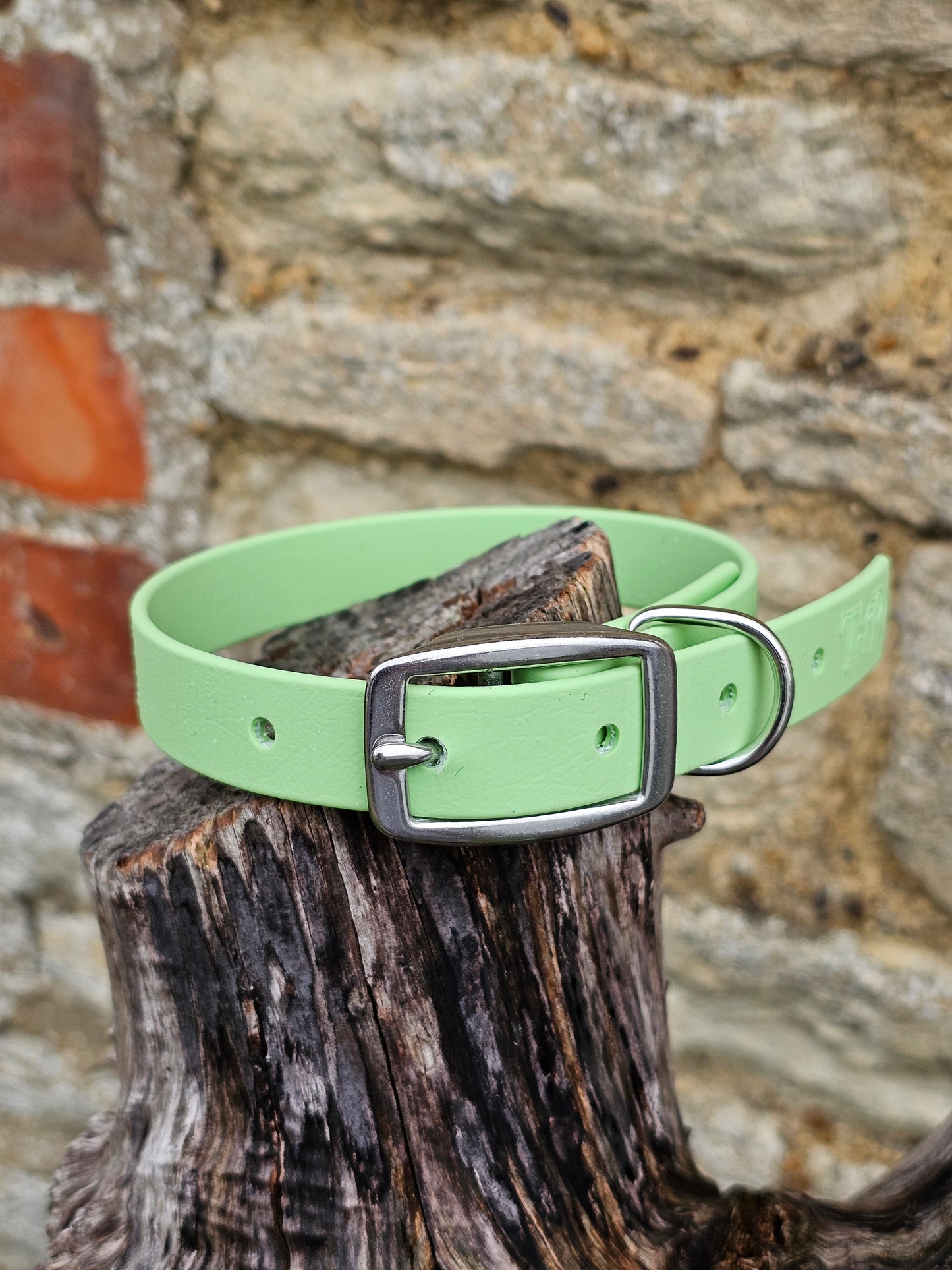 Pistachio - Everlast Waterproof BioThane© Dog Collar