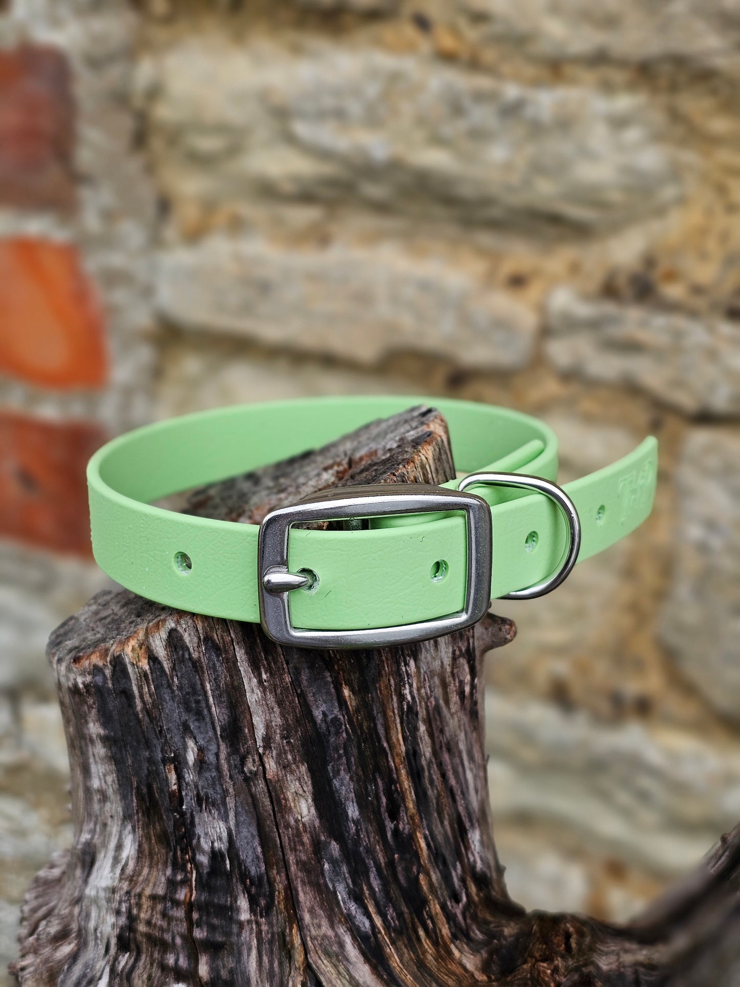 Pistachio - Everlast Waterproof BioThane© Dog Collar