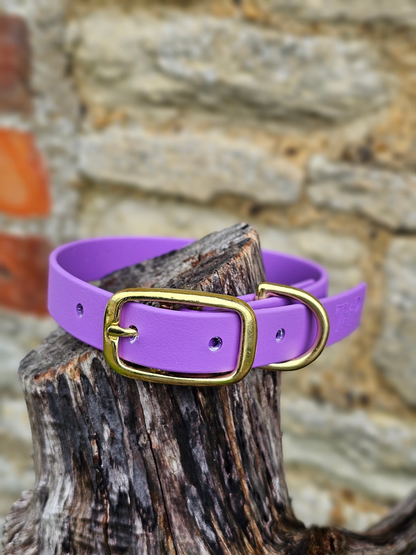 Amethyst - Everlast Waterproof BioThane© Dog Collar