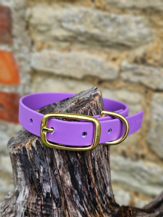 Amethyst - Everlast Waterproof BioThane© Dog Collar