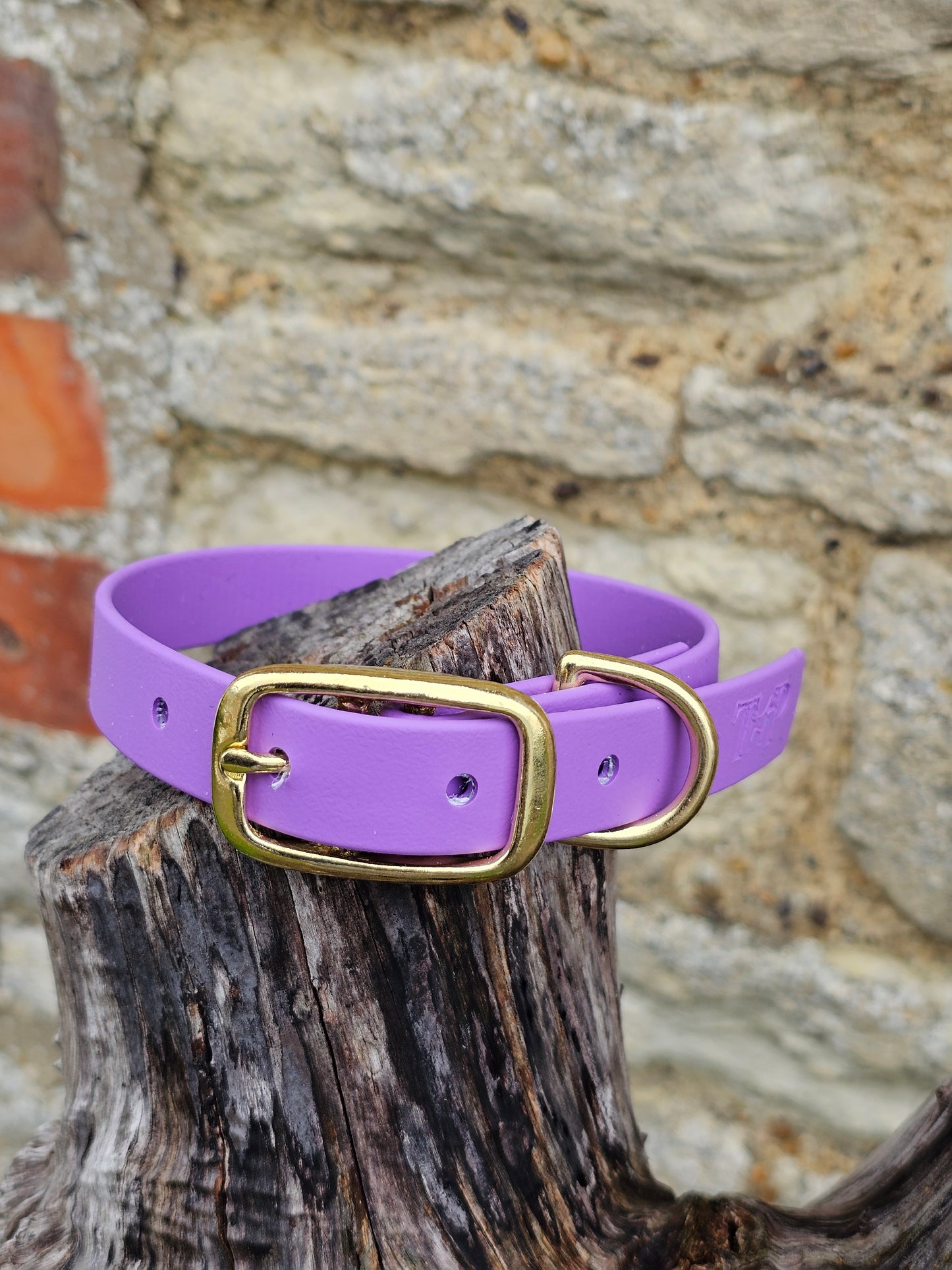 Amethyst - Everlast Waterproof BioThane© Dog Collar