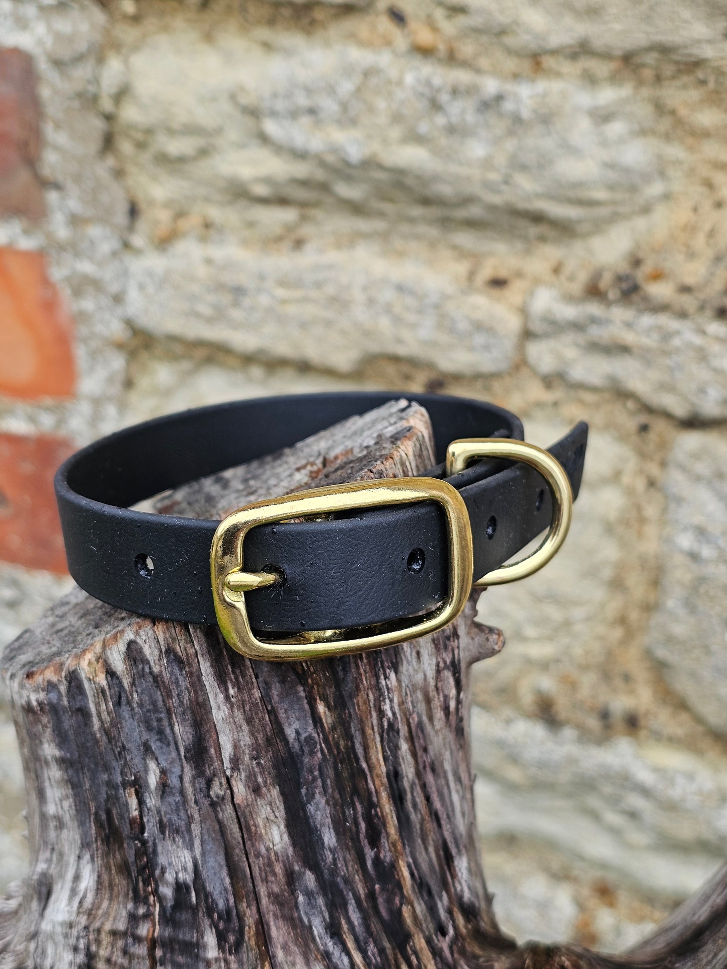 White - Everlast Waterproof BioThane© Dog Collar