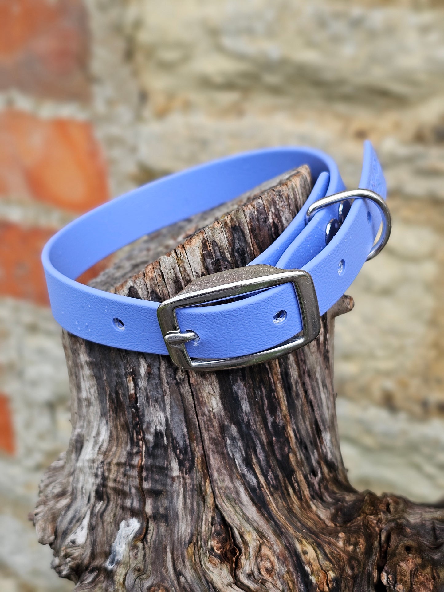 Periwinkle - Everlast Waterproof BioThane© Dog Collar