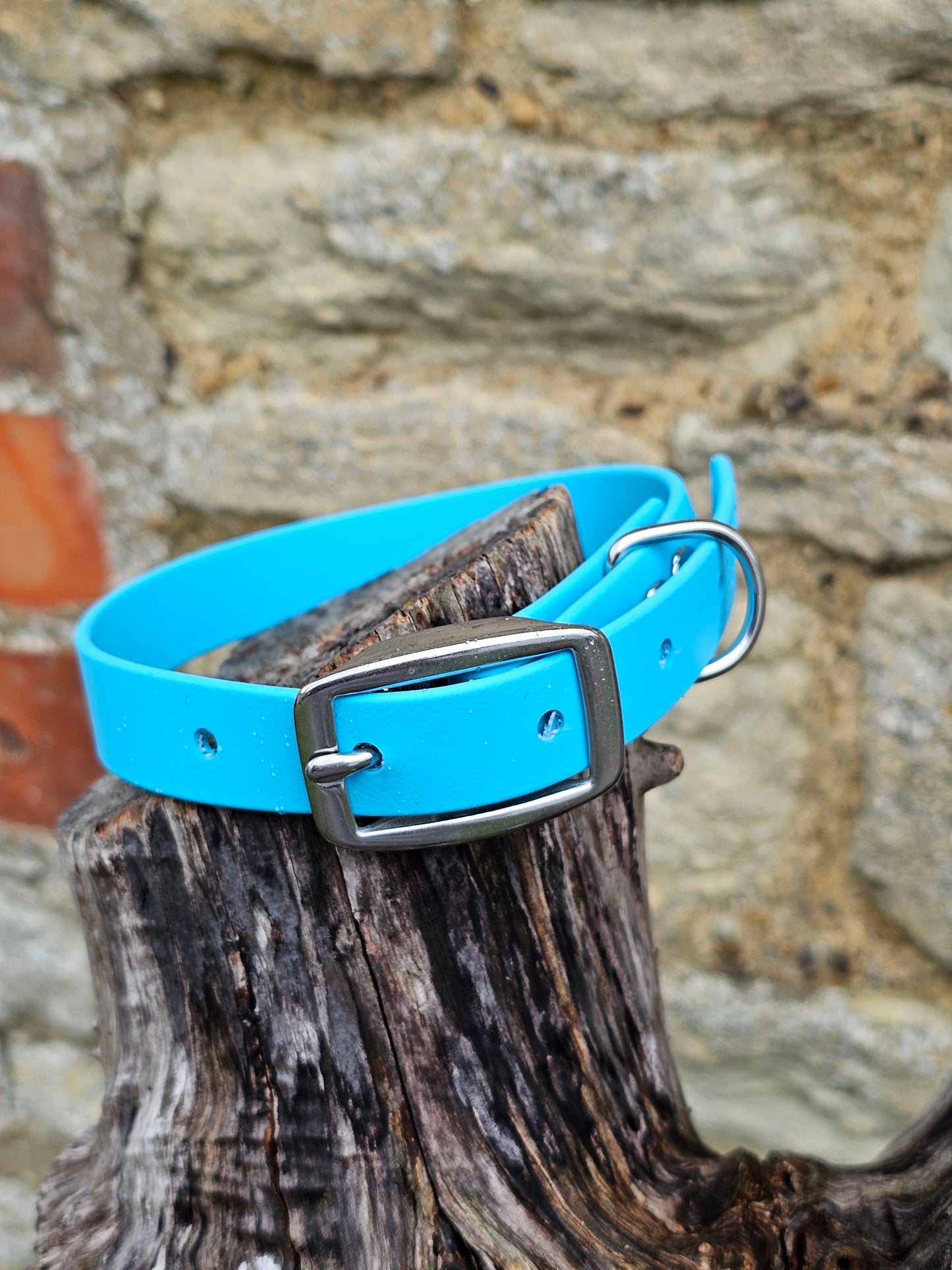Neon Blue - Everlast Waterproof BioThane© Dog Collar