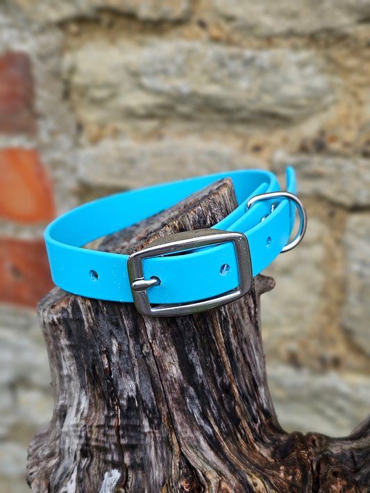Neon Blue - Everlast Waterproof BioThane© Dog Collar