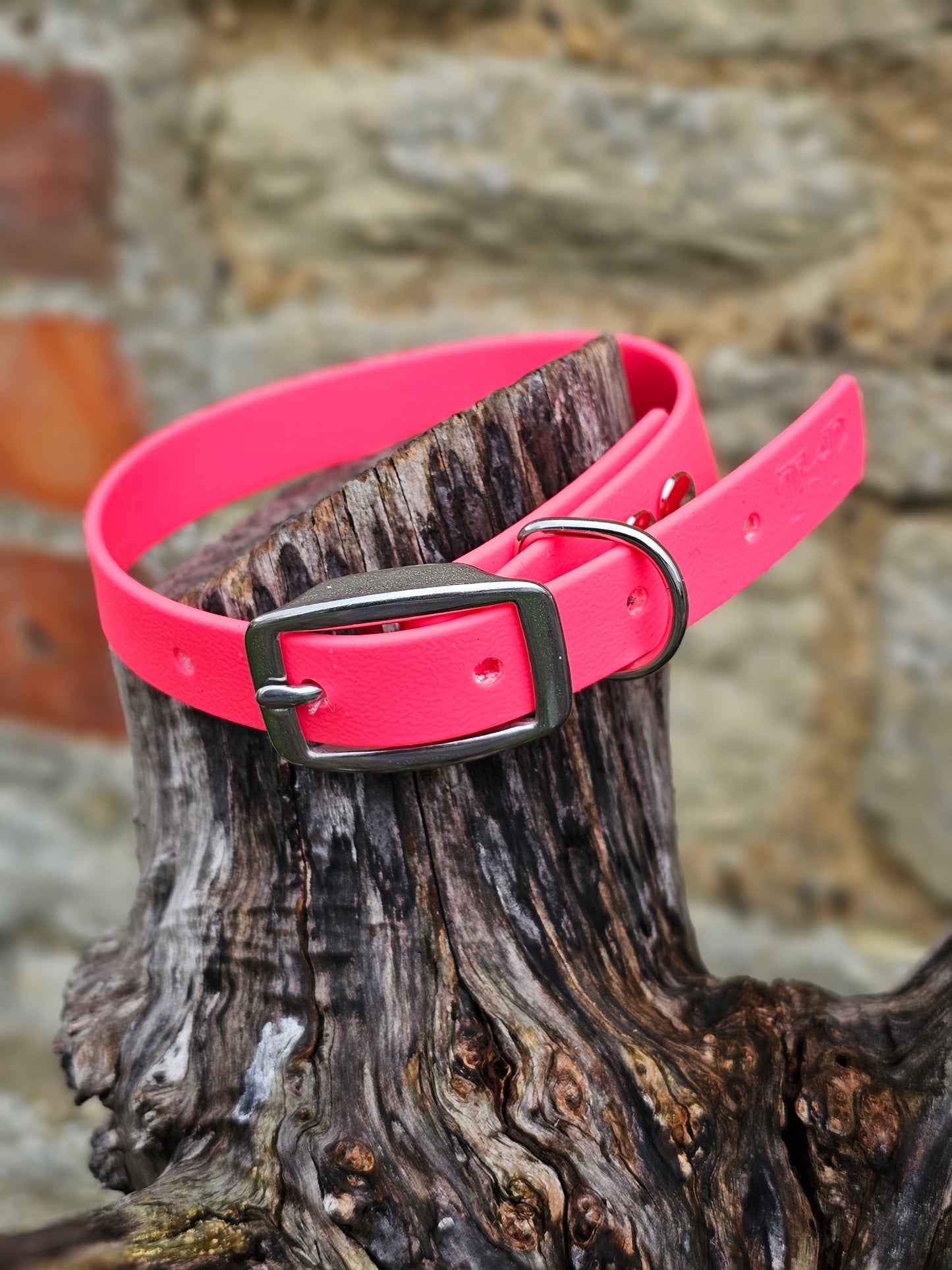 Neon Pink - Everlast Waterproof BioThane© Dog Collar