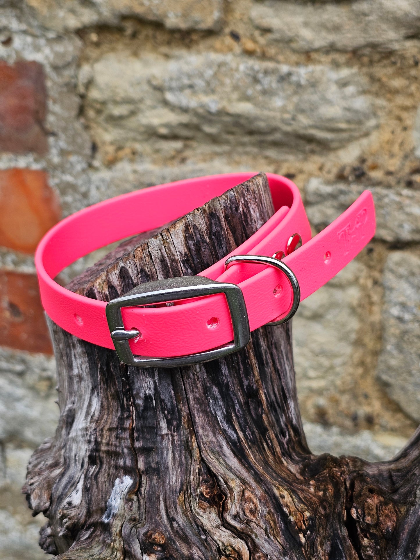 Neon Pink - Everlast Waterproof BioThane© Dog Collar