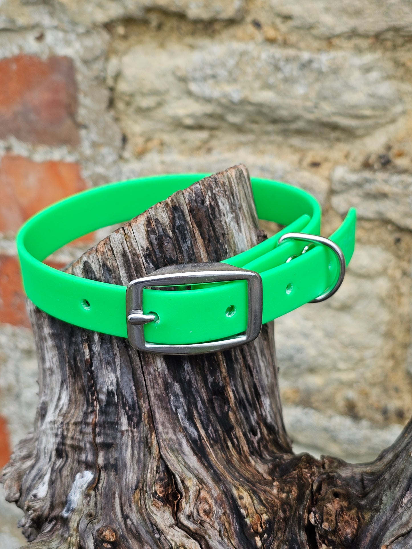 Neon Green - Everlast Waterproof BioThane© Dog Collar