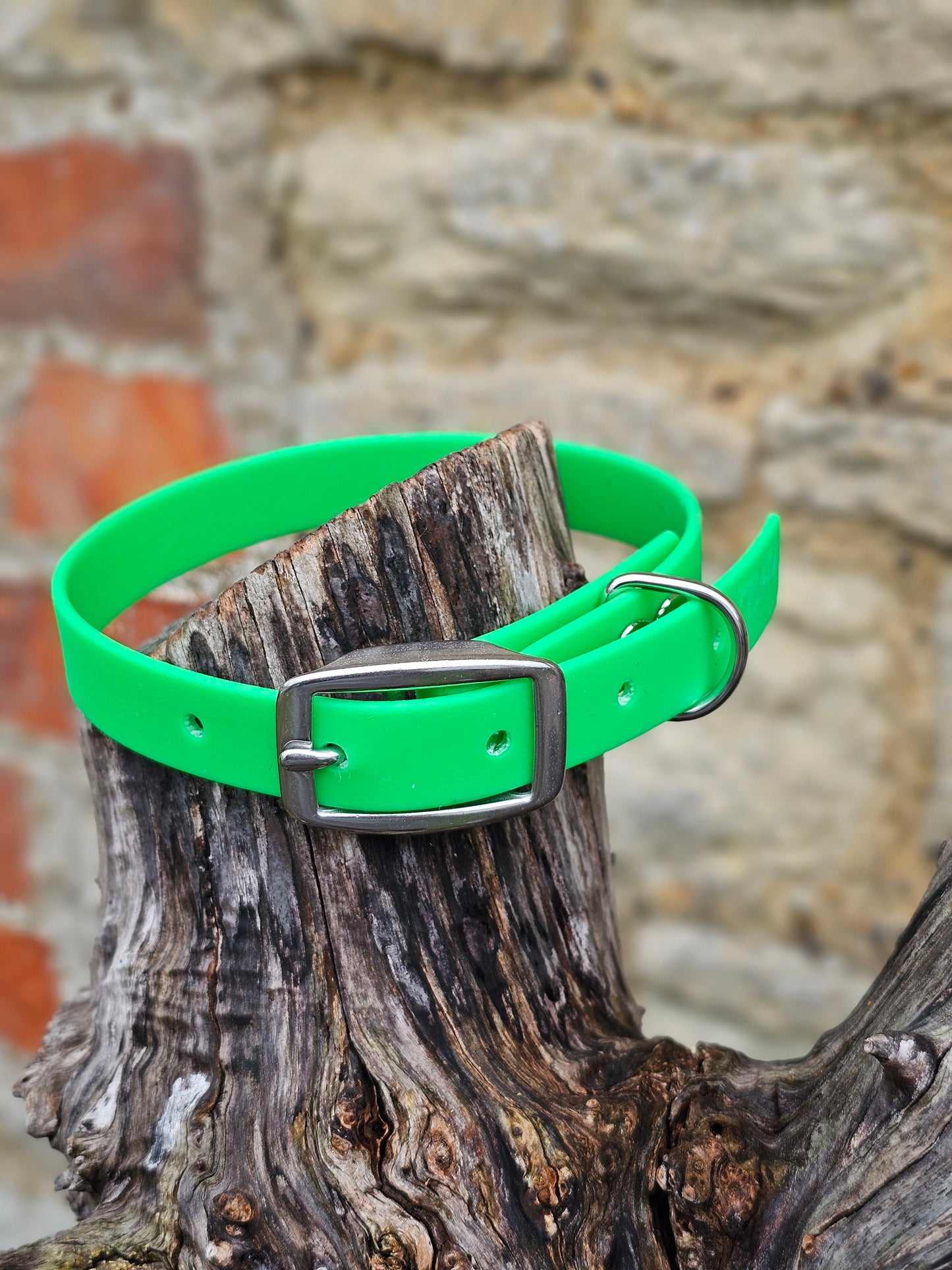 Neon Green - Everlast Waterproof BioThane© Dog Collar