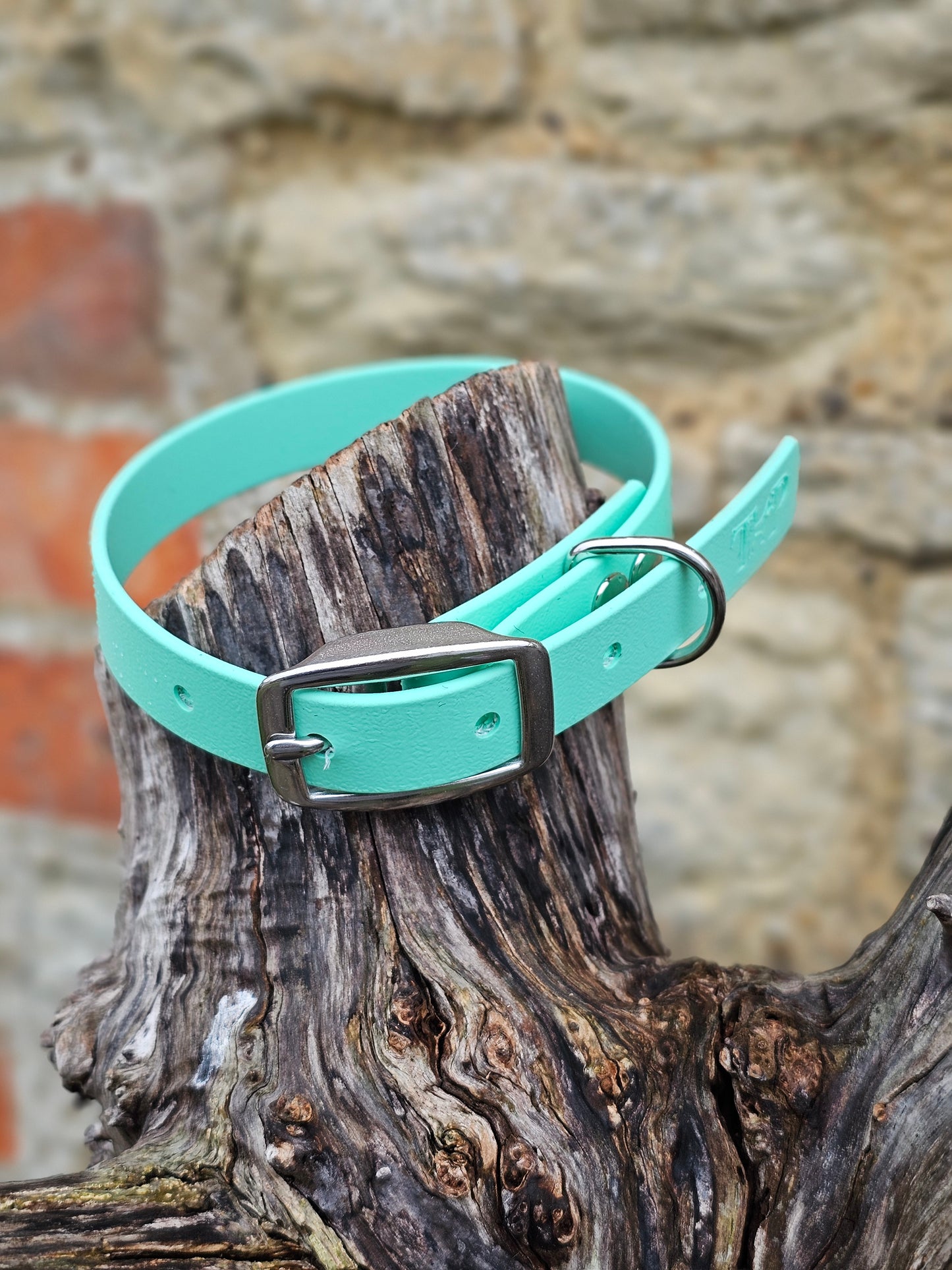 Mint - Everlast Waterproof BioThane© Dog Collar
