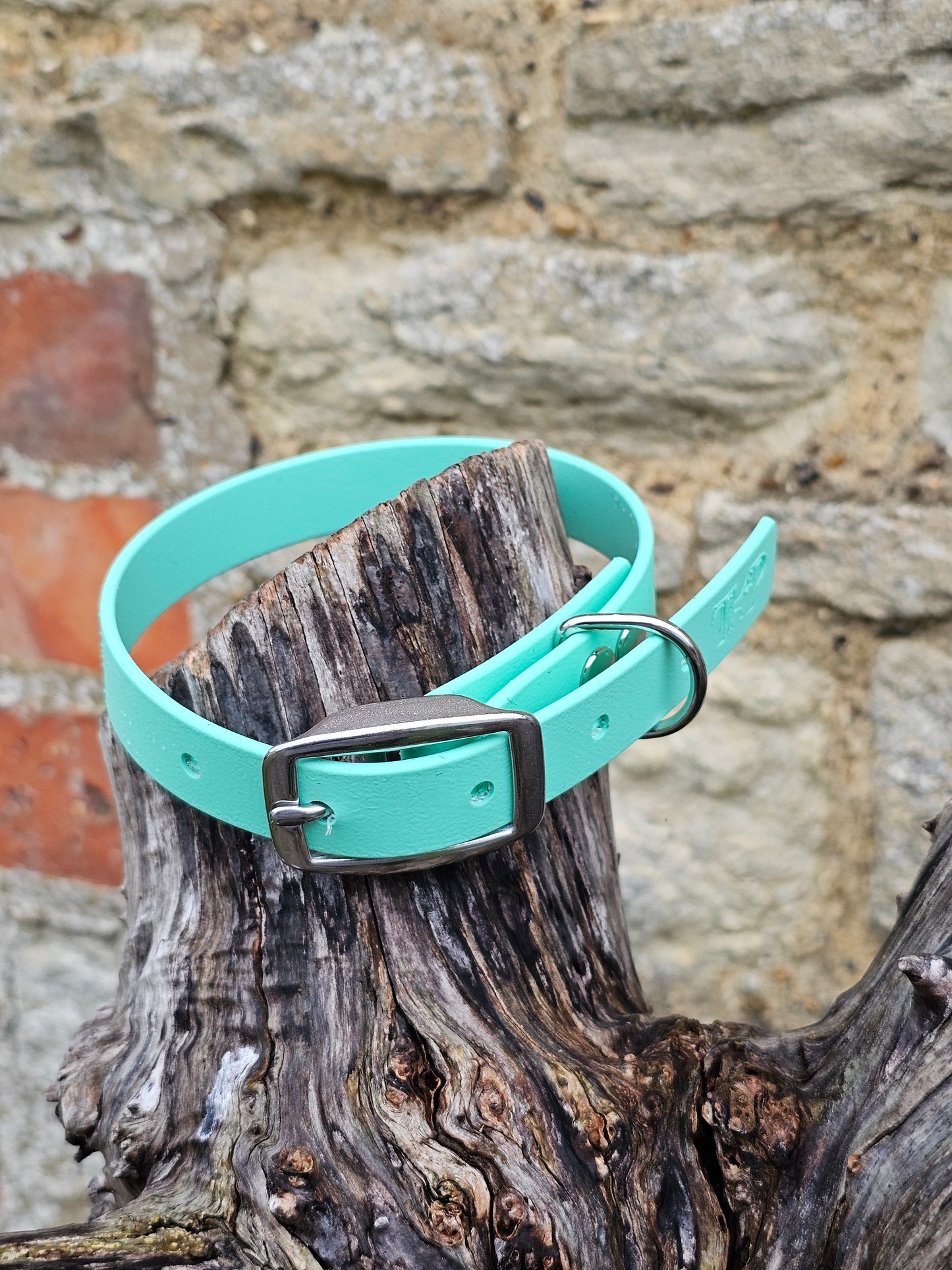 Mint - Everlast Waterproof BioThane© Dog Collar