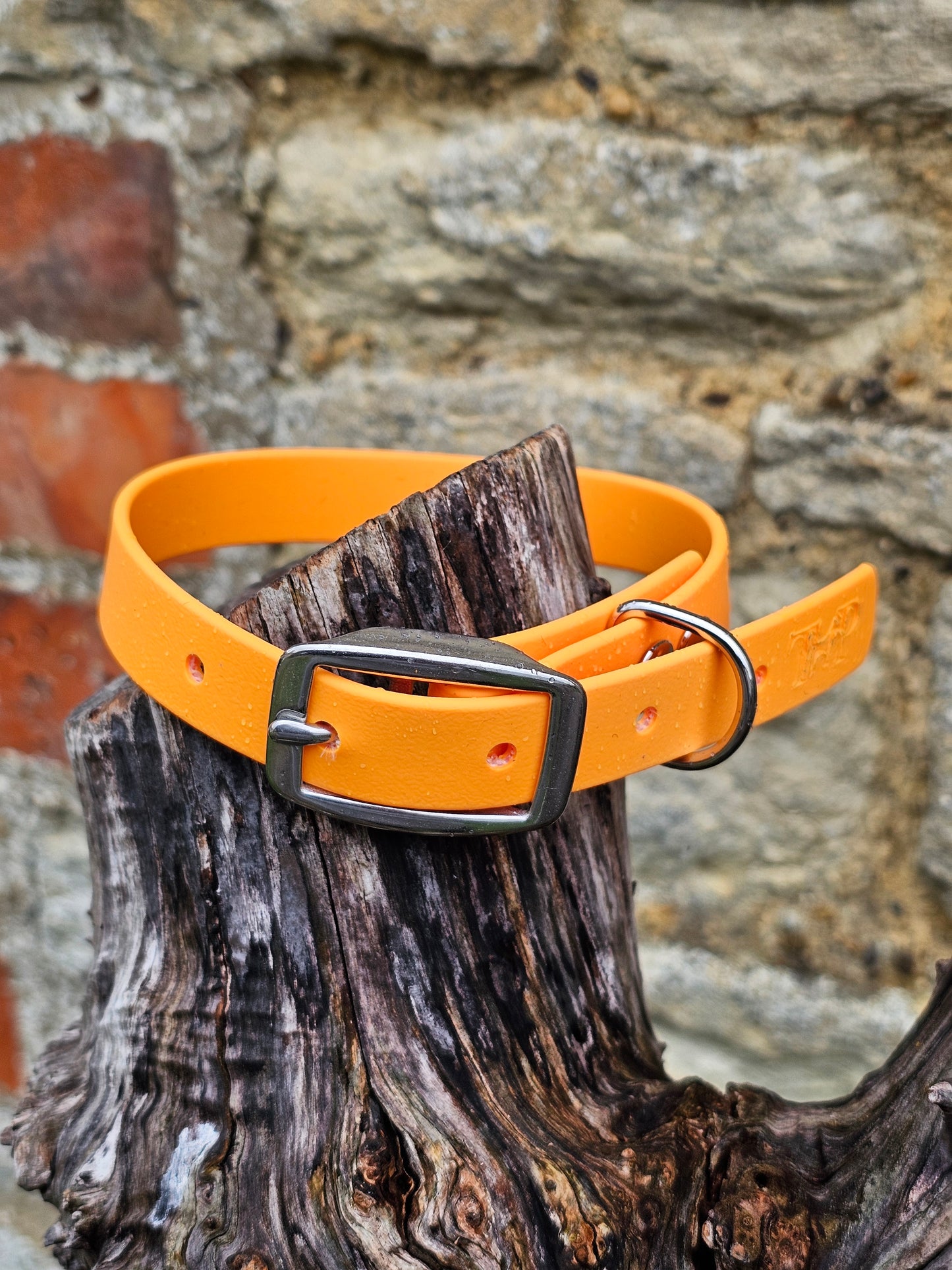 Orange - Everlast Waterproof BioThane© Dog Collar