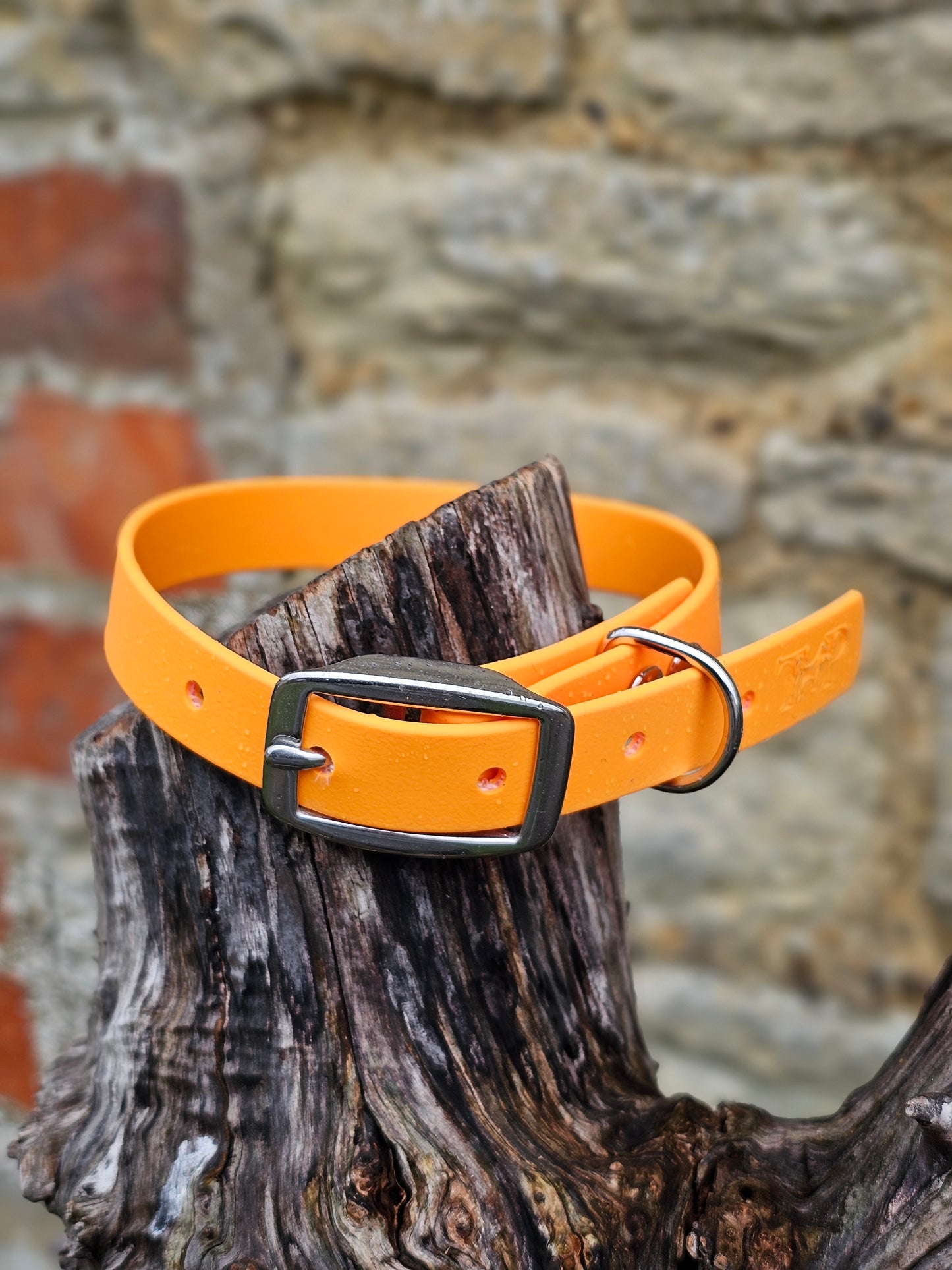 Orange - Everlast Waterproof BioThane© Dog Collar