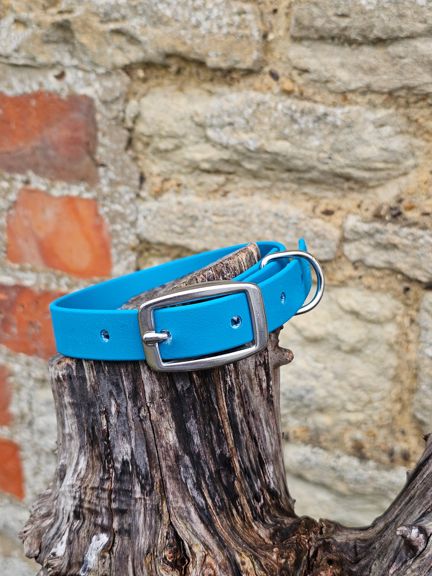 Lagune - Everlast Waterproof BioThane© Dog Collar