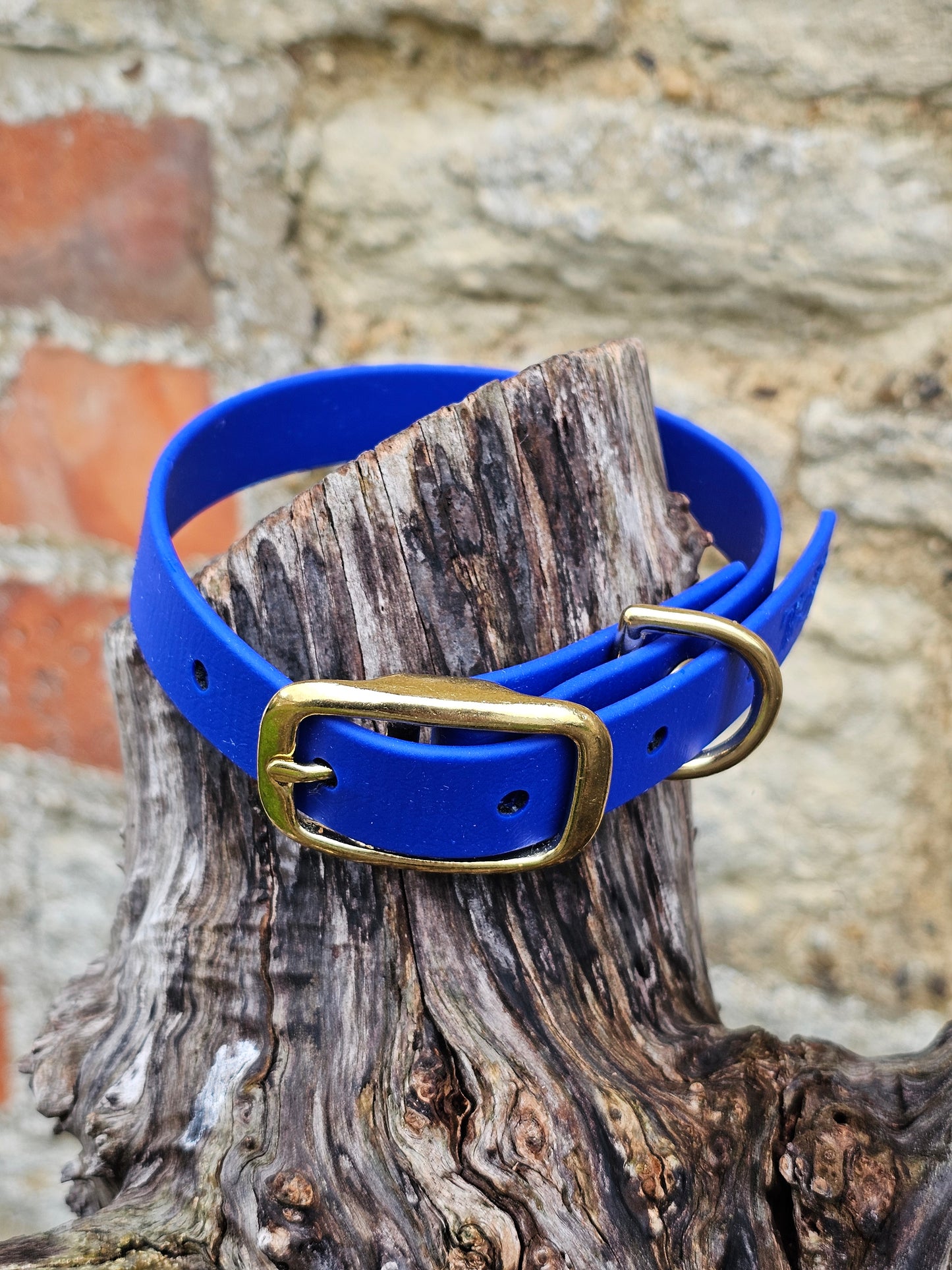 Royal Blue - Everlast Waterproof BioThane© Dog Collar