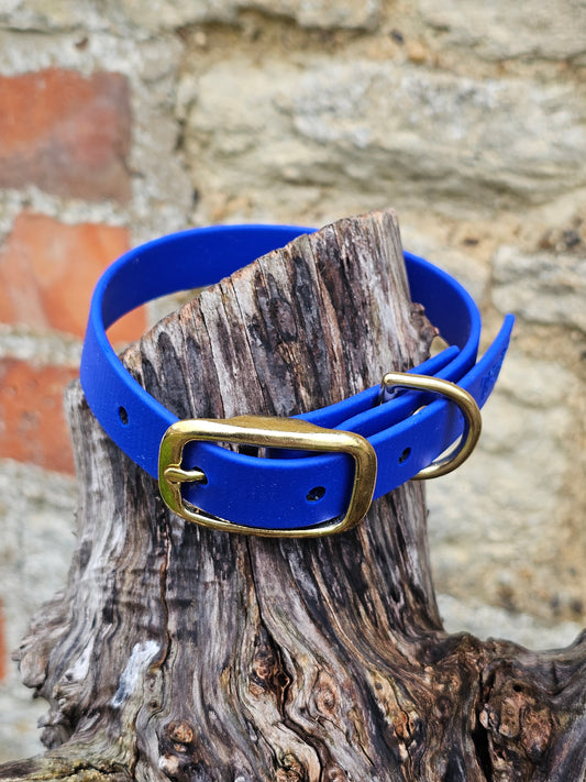 Royal Blue - Everlast Waterproof BioThane© Dog Collar