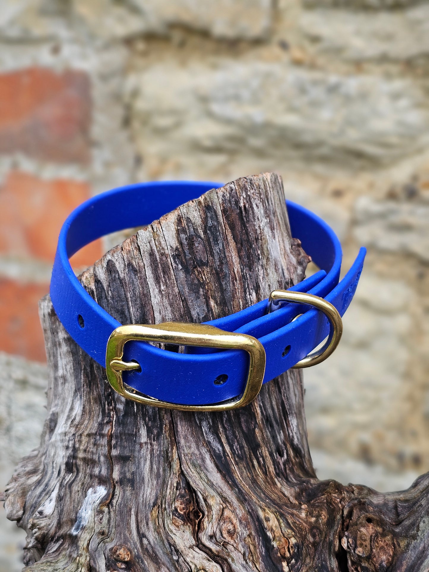 Royal Blue - Everlast Waterproof BioThane© Dog Collar