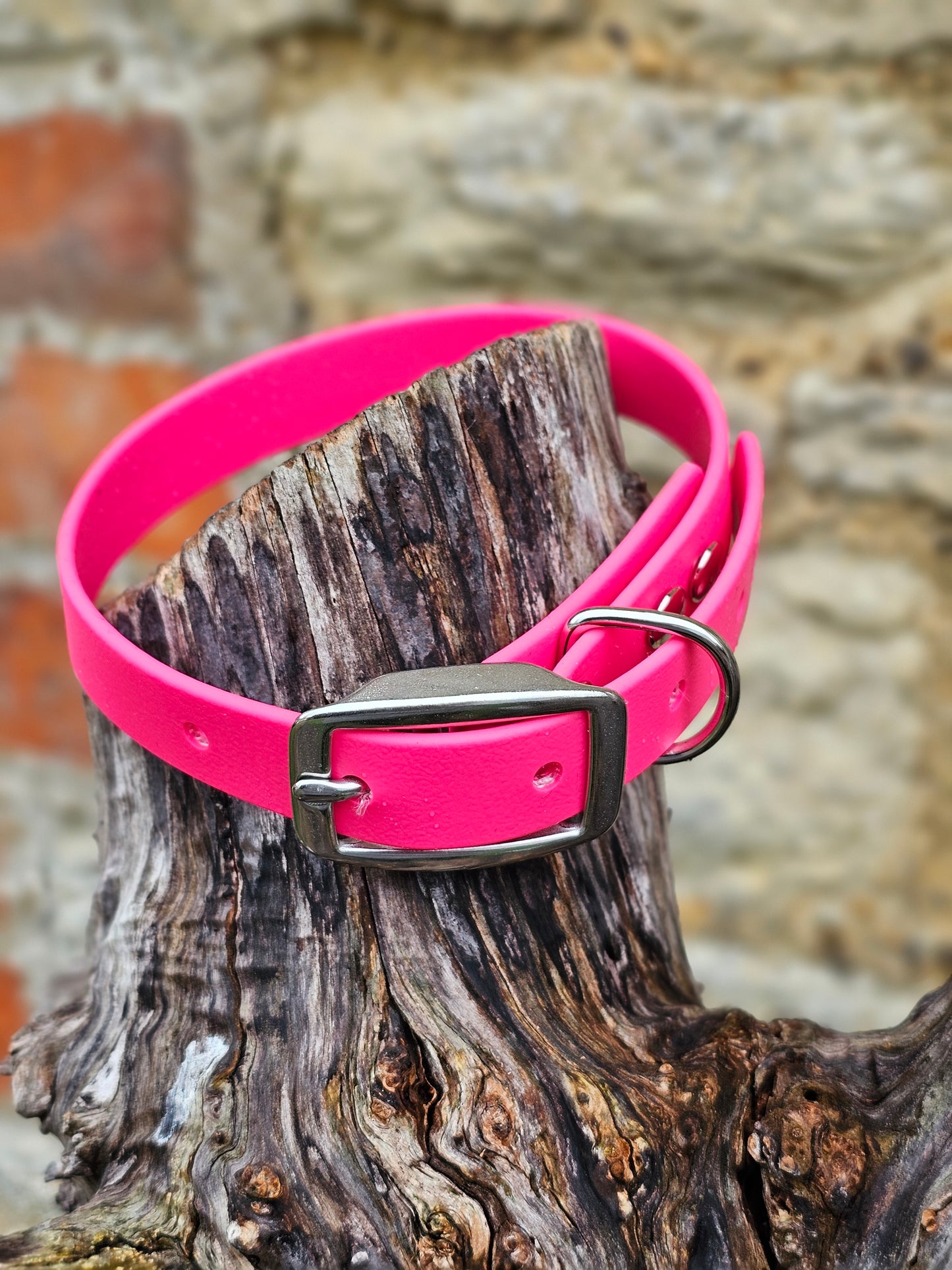 Passion Pink - Everlast Waterproof BioThane© Dog Collar