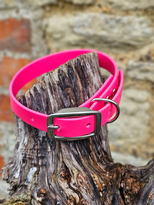 Passion Pink - Everlast Waterproof BioThane© Dog Collar