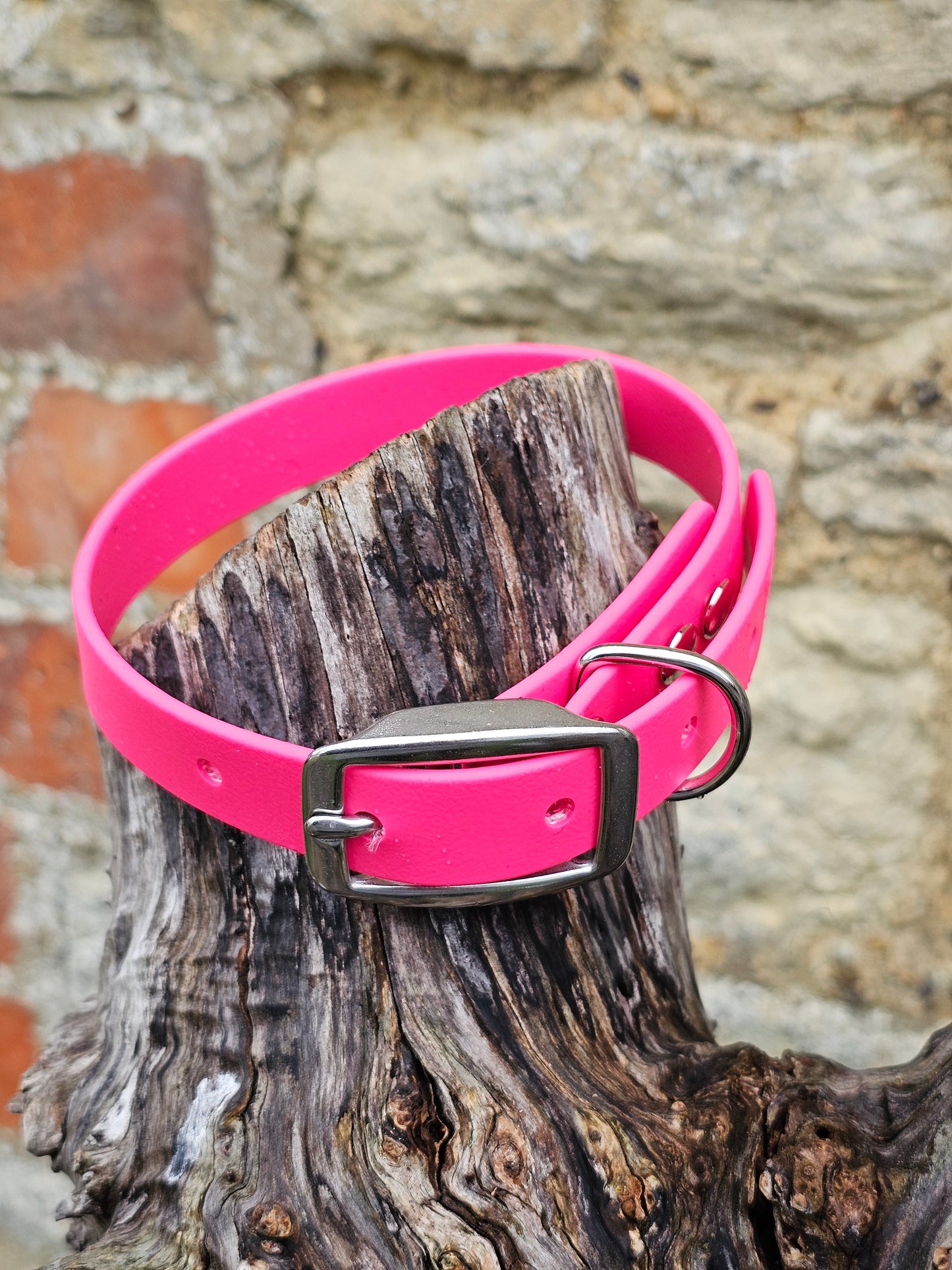 Passion Pink - Everlast Waterproof BioThane© Dog Collar