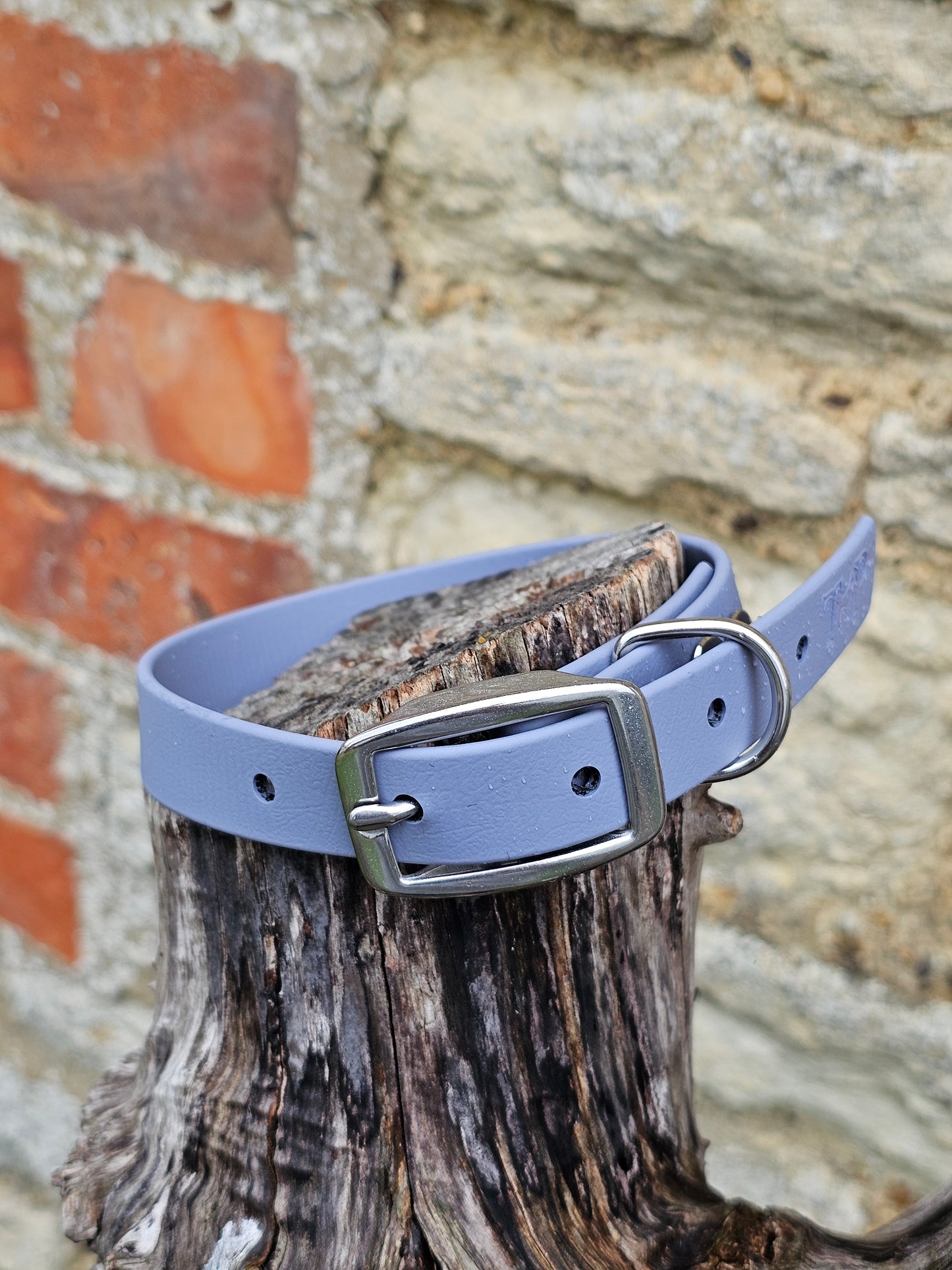 Grey - Everlast Waterproof BioThane© Dog Collar