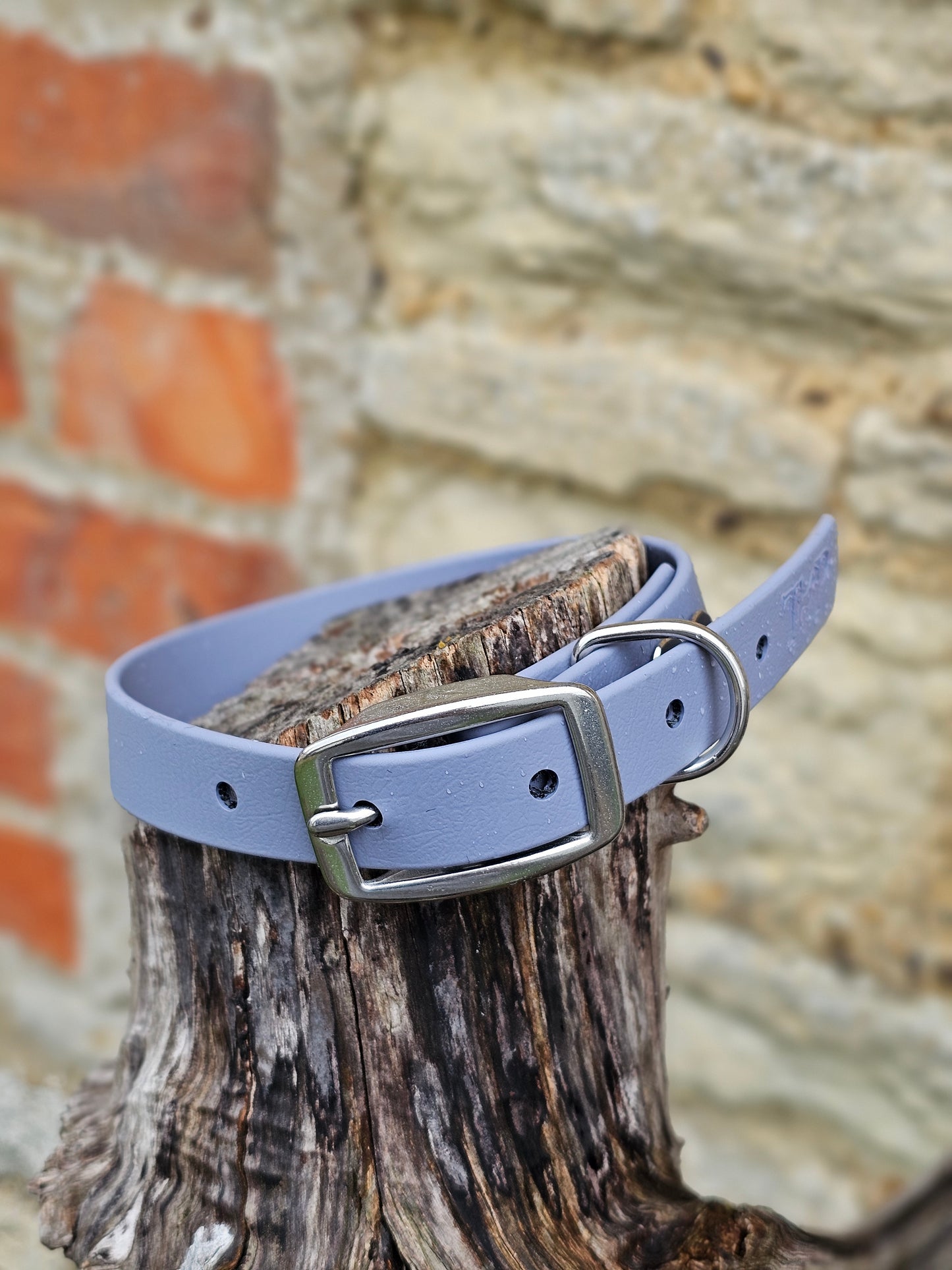 Grey - Everlast Waterproof BioThane© Dog Collar