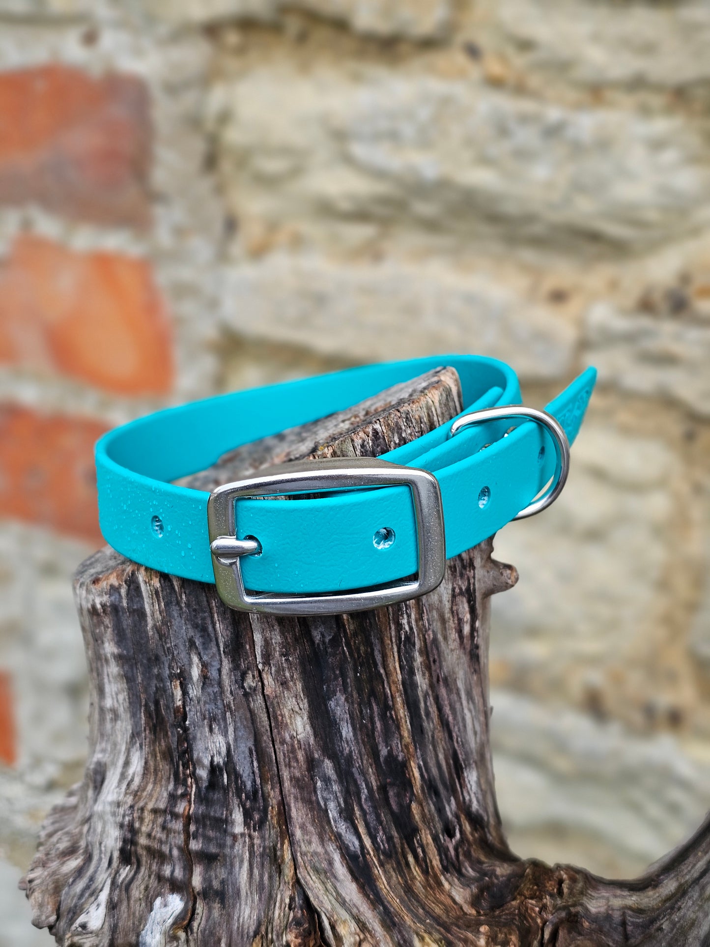 Teal - Everlast Waterproof BioThane© Dog Collar