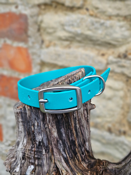 Teal - Everlast Waterproof BioThane© Dog Collar