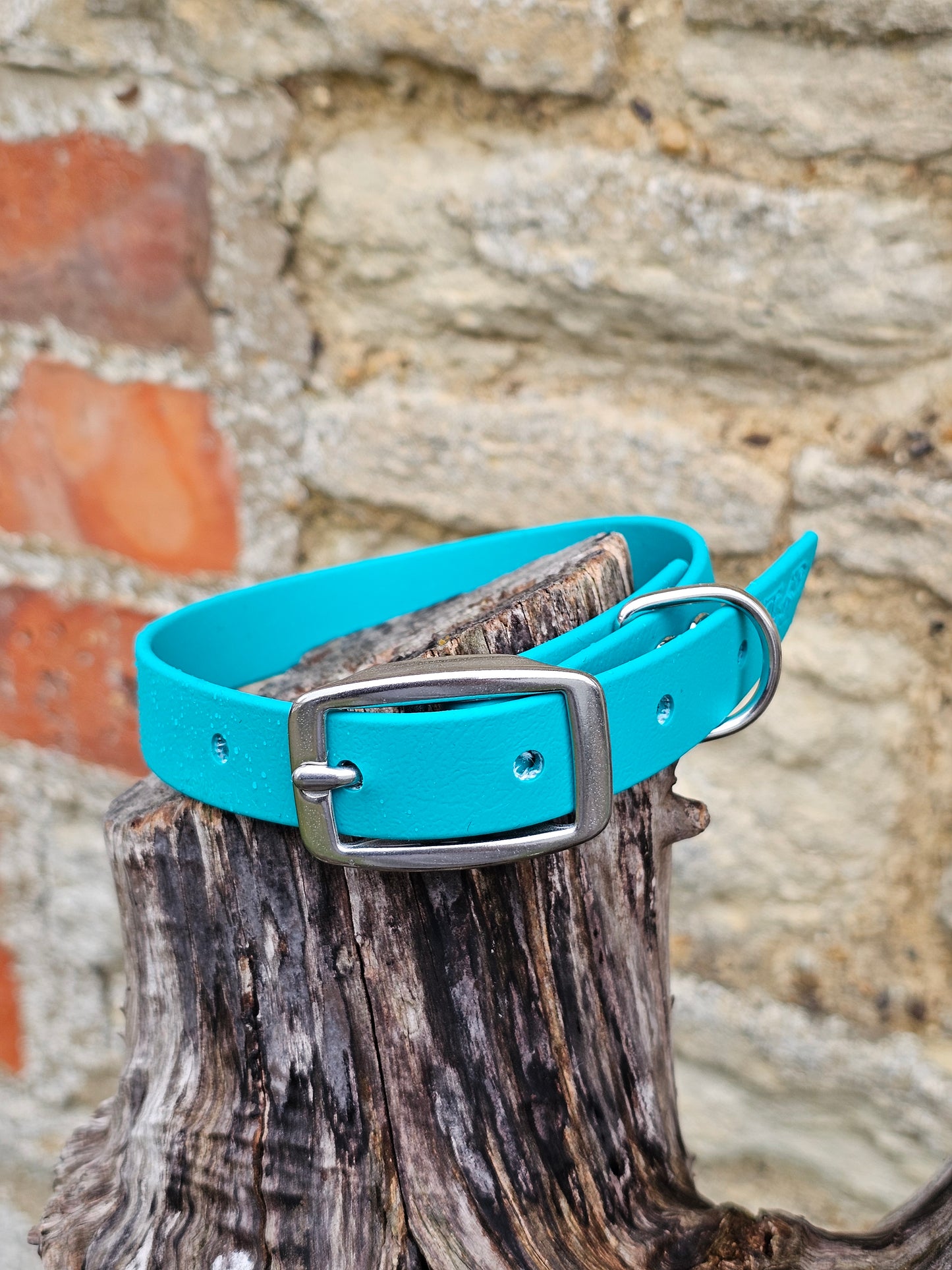Teal - Everlast Waterproof BioThane© Dog Collar