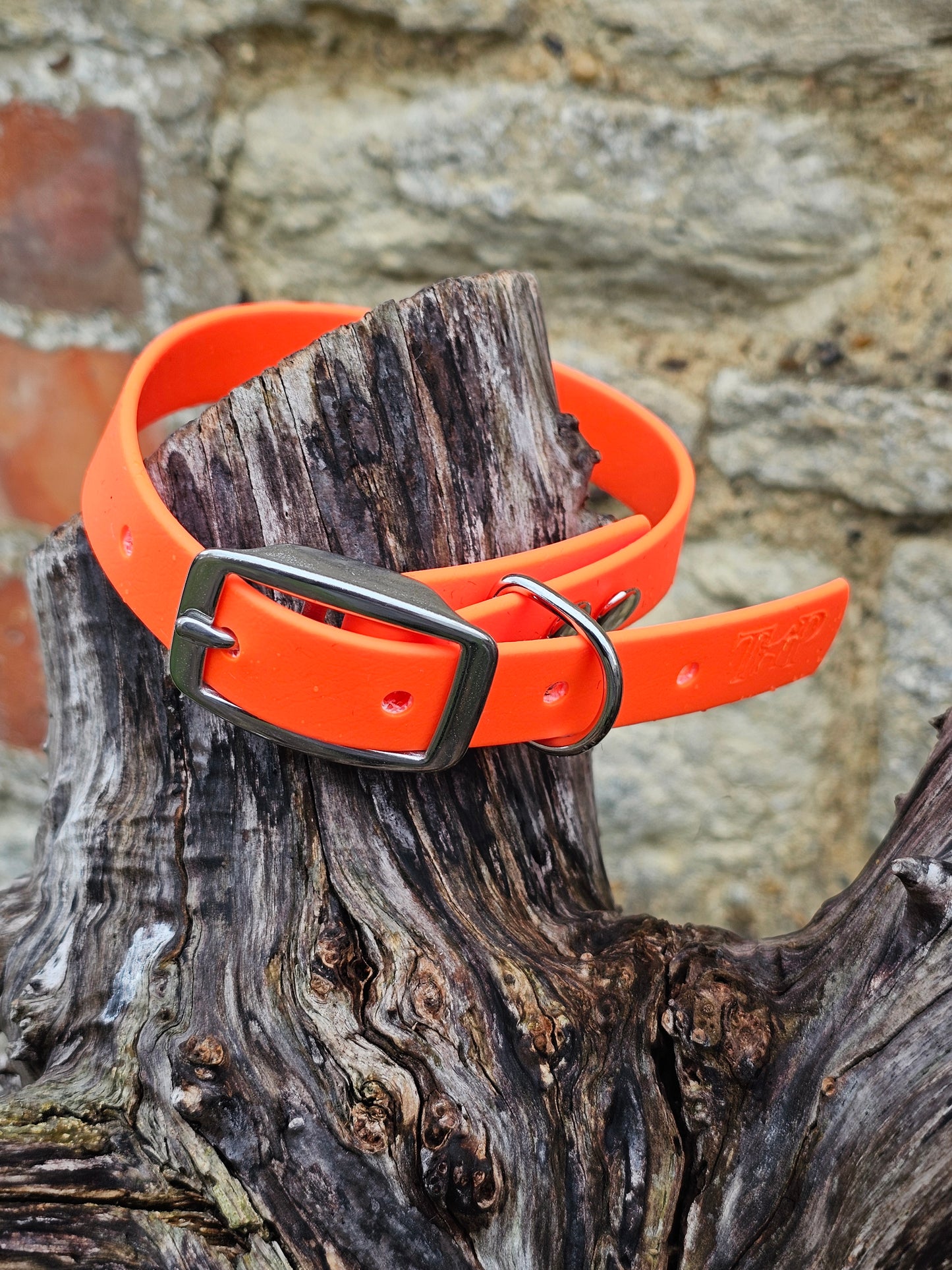 Neon Orange - Everlast Waterproof BioThane© Dog Collar