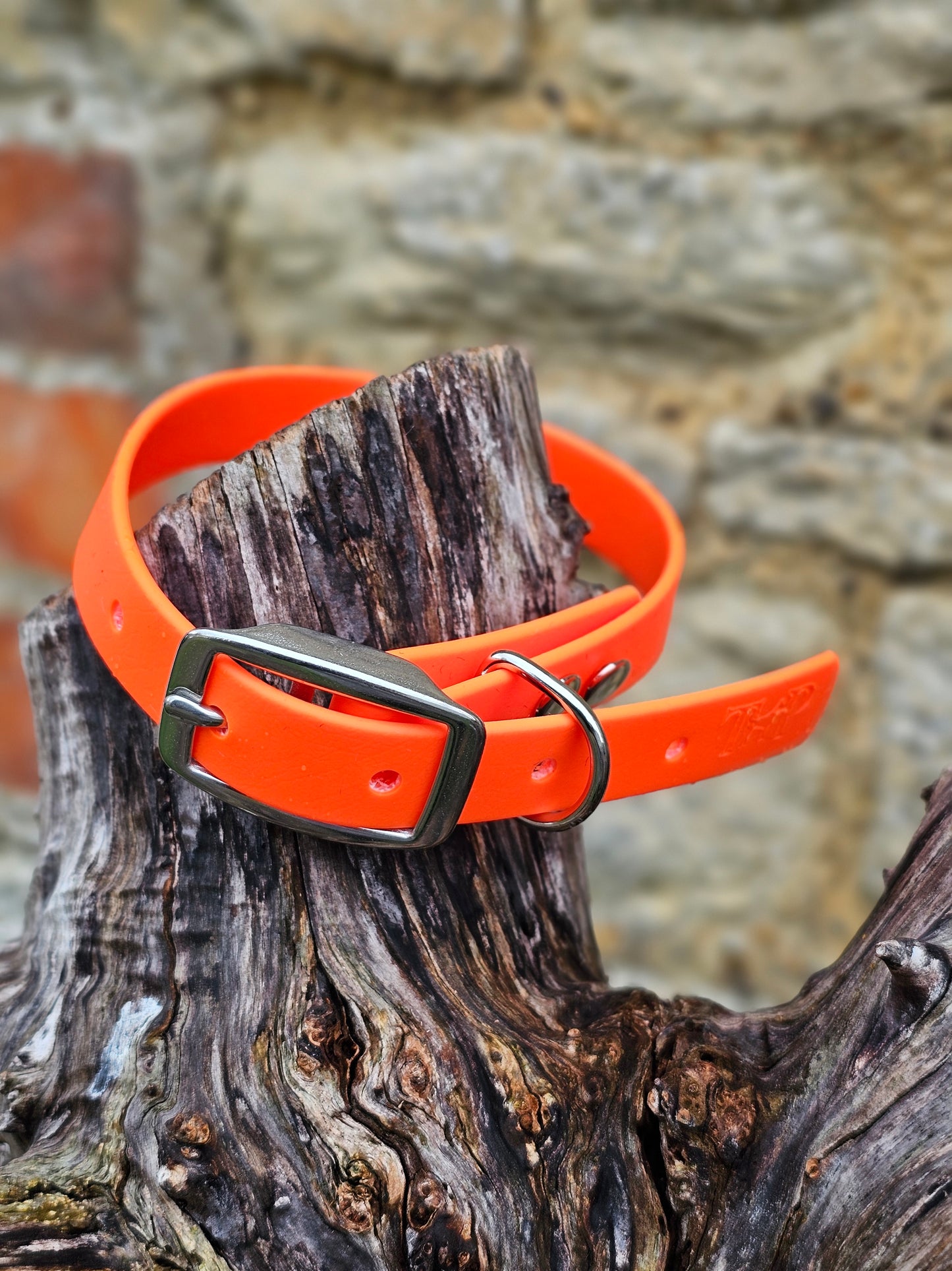 Neon Orange - Everlast Waterproof BioThane© Dog Collar