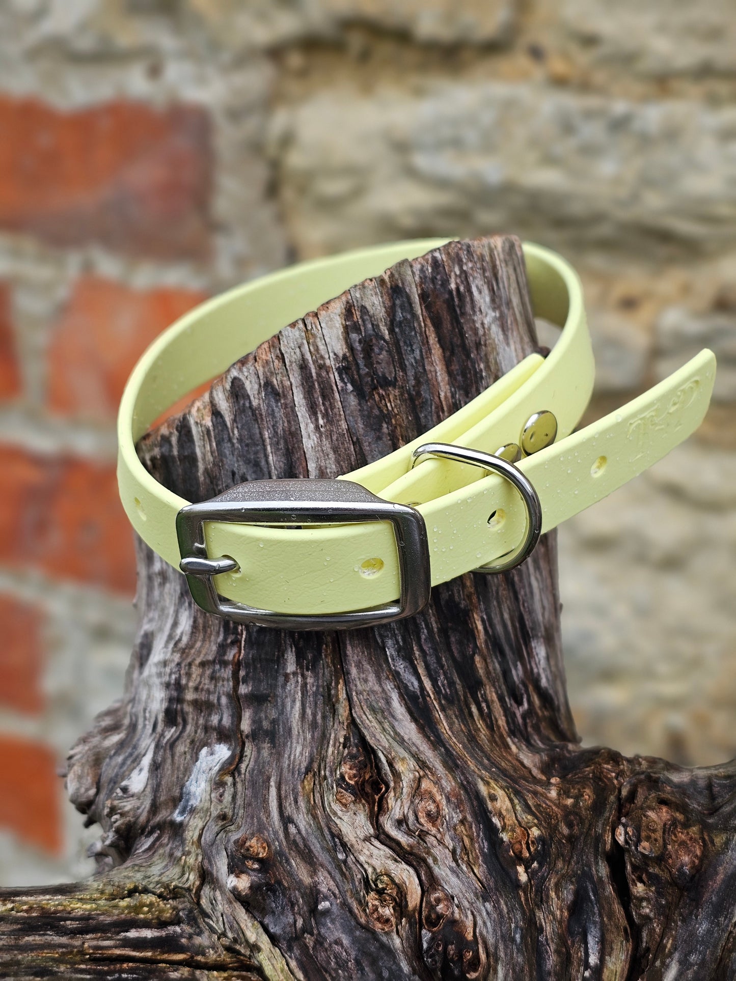 Lemon - Everlast Waterproof BioThane© Dog Collar
