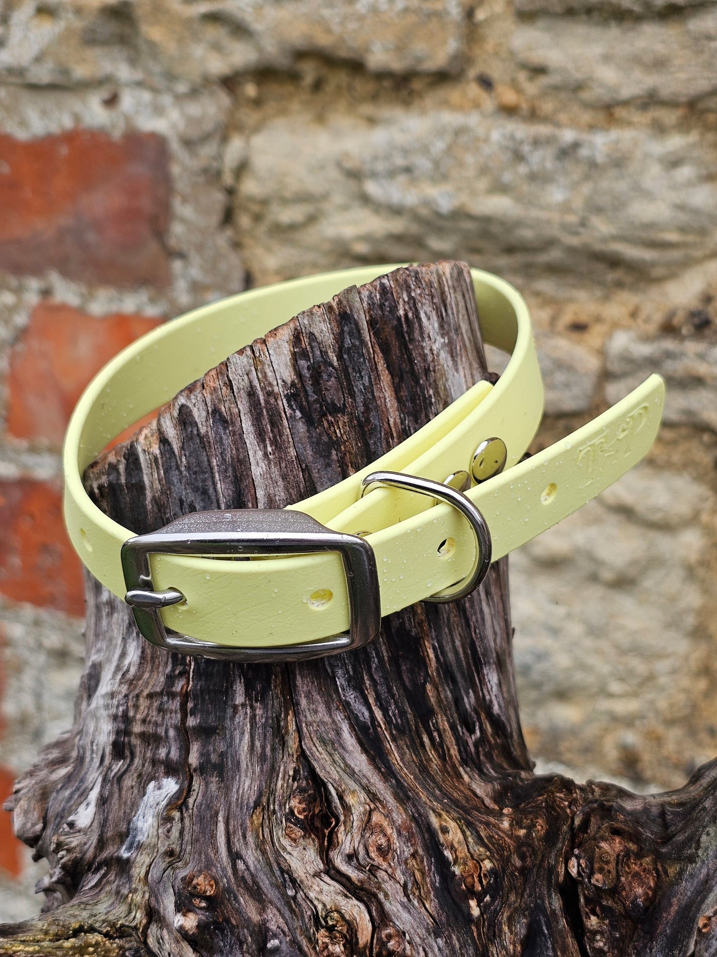 Lemon - Everlast Waterproof BioThane© Dog Collar