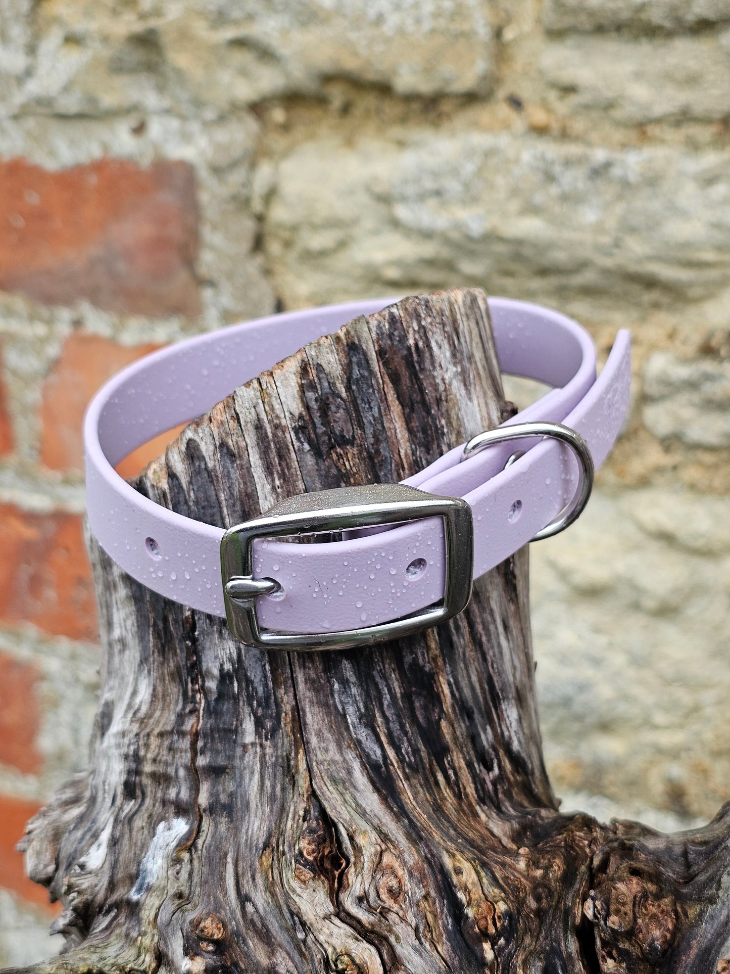 Lilac - Everlast Waterproof BioThane© Dog Collar