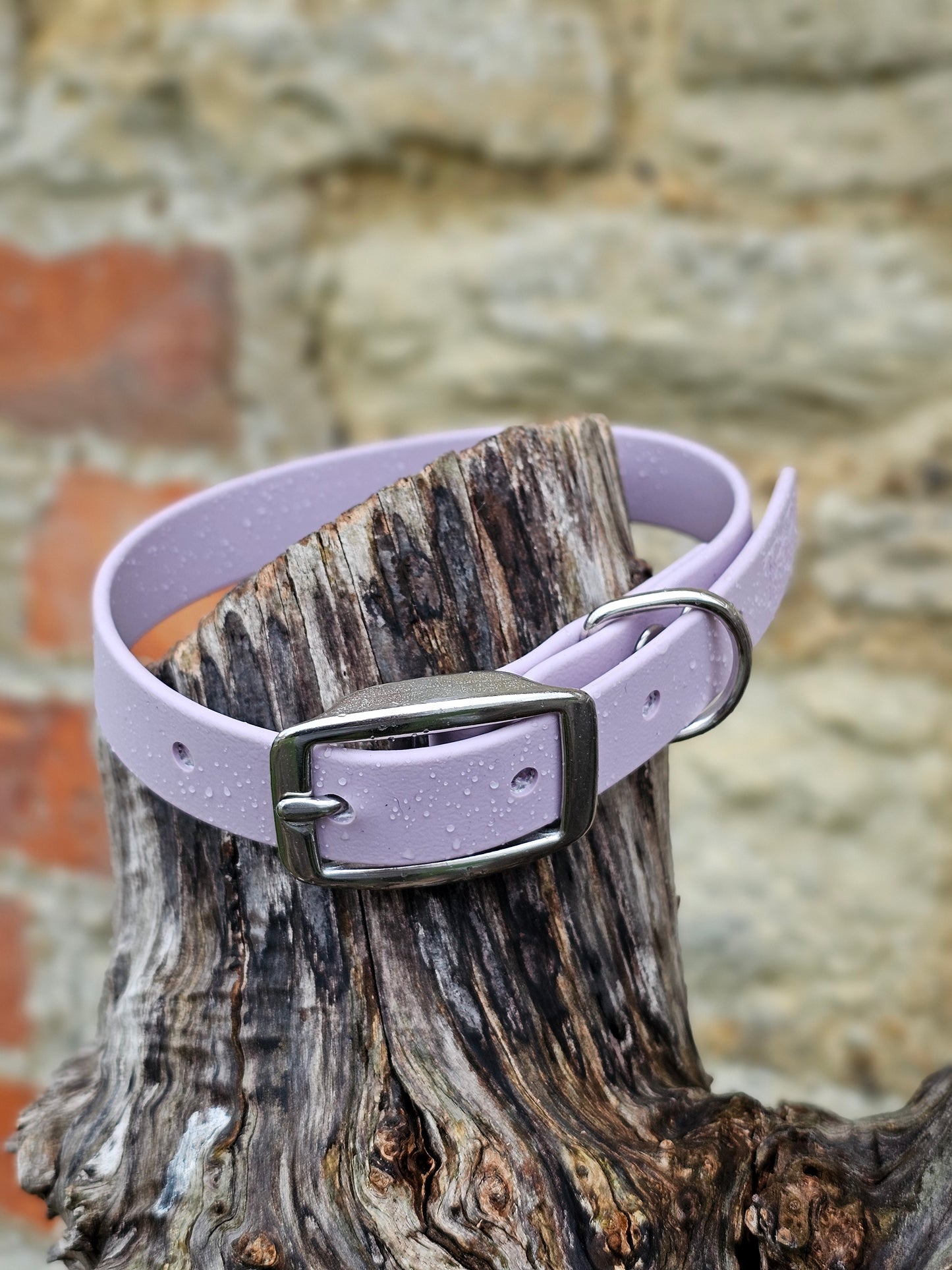 Lilac - Everlast Waterproof BioThane© Dog Collar