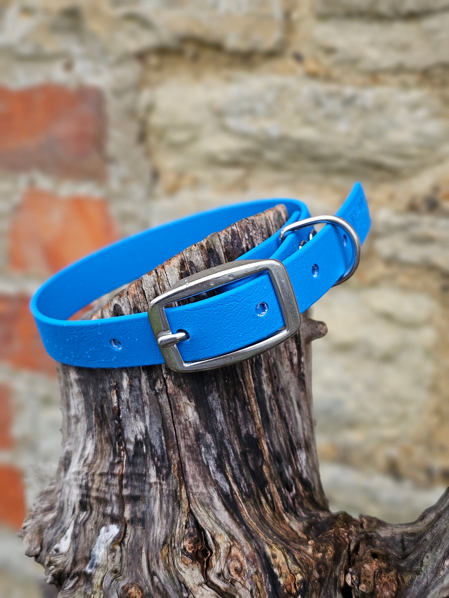 Blue - Everlast Waterproof BioThane© Dog Collar