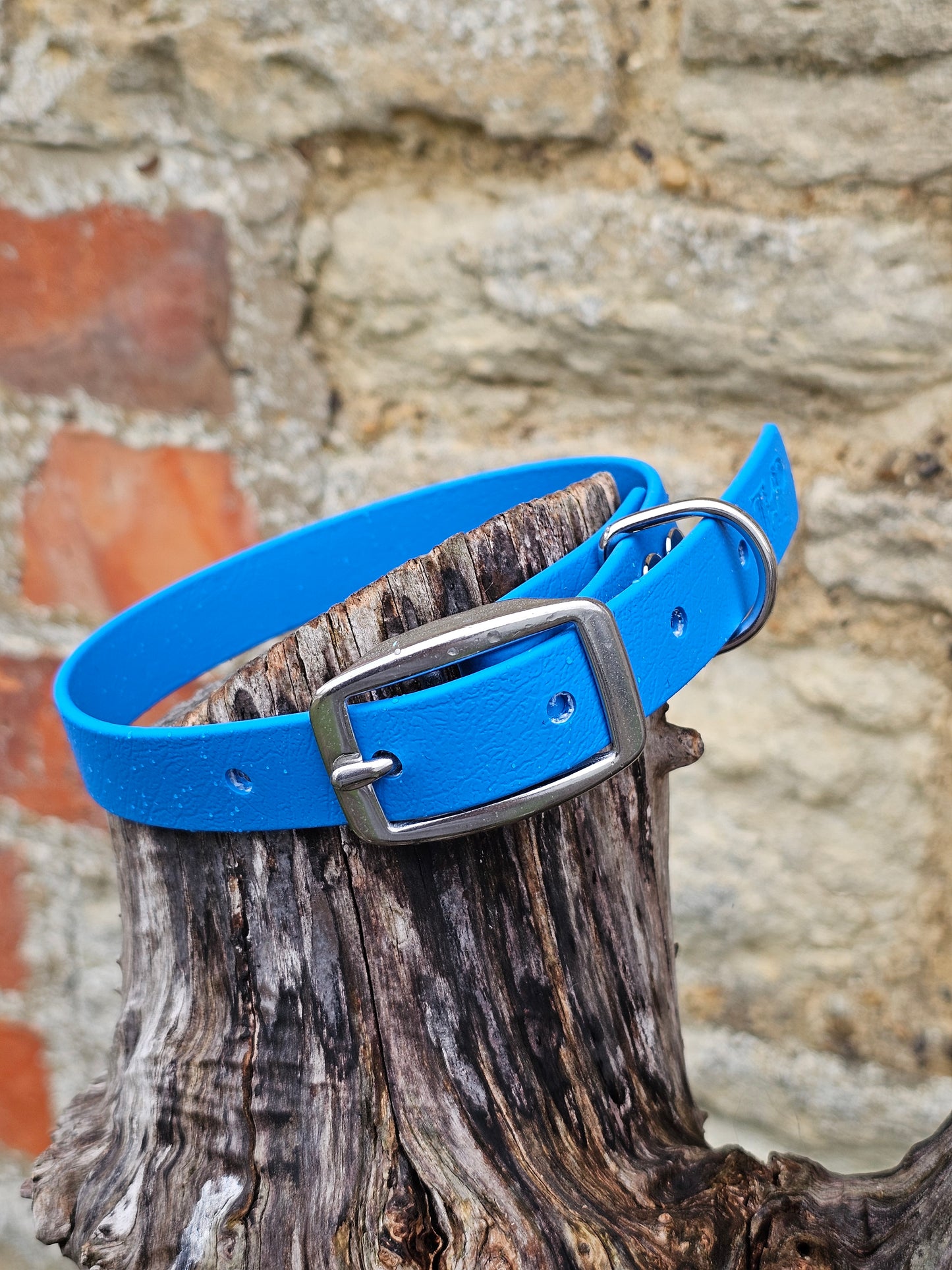 Blue - Everlast Waterproof BioThane© Dog Collar