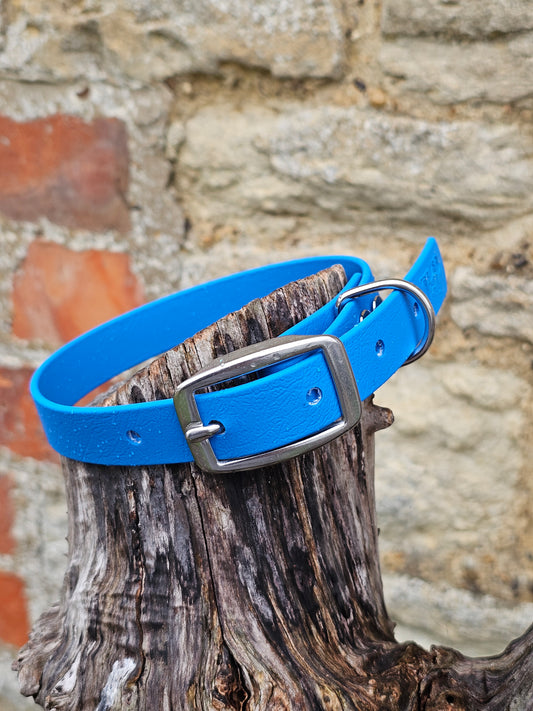 Blue - Everlast Waterproof BioThane© Dog Collar