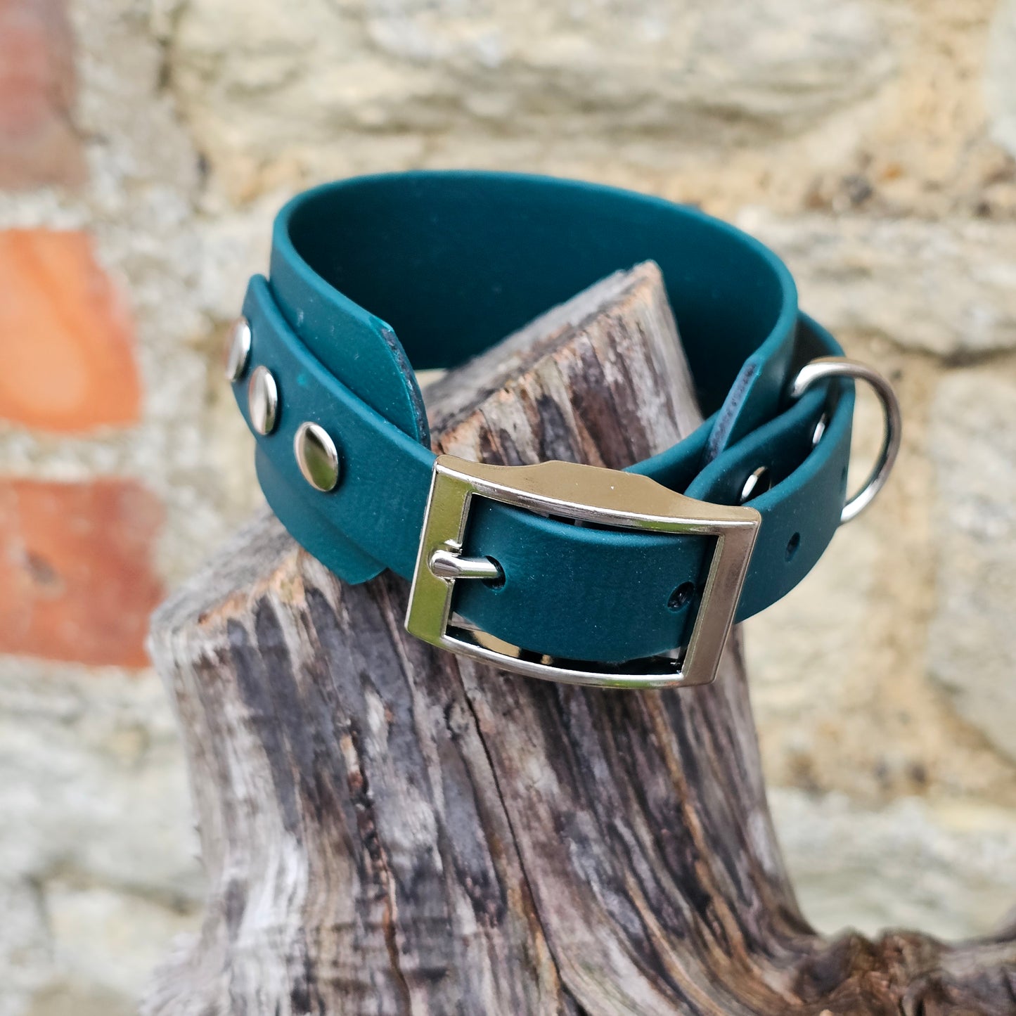 Dark Green - Waterproof BioThane® Sighthound Collar / wide-fit Dog Collar