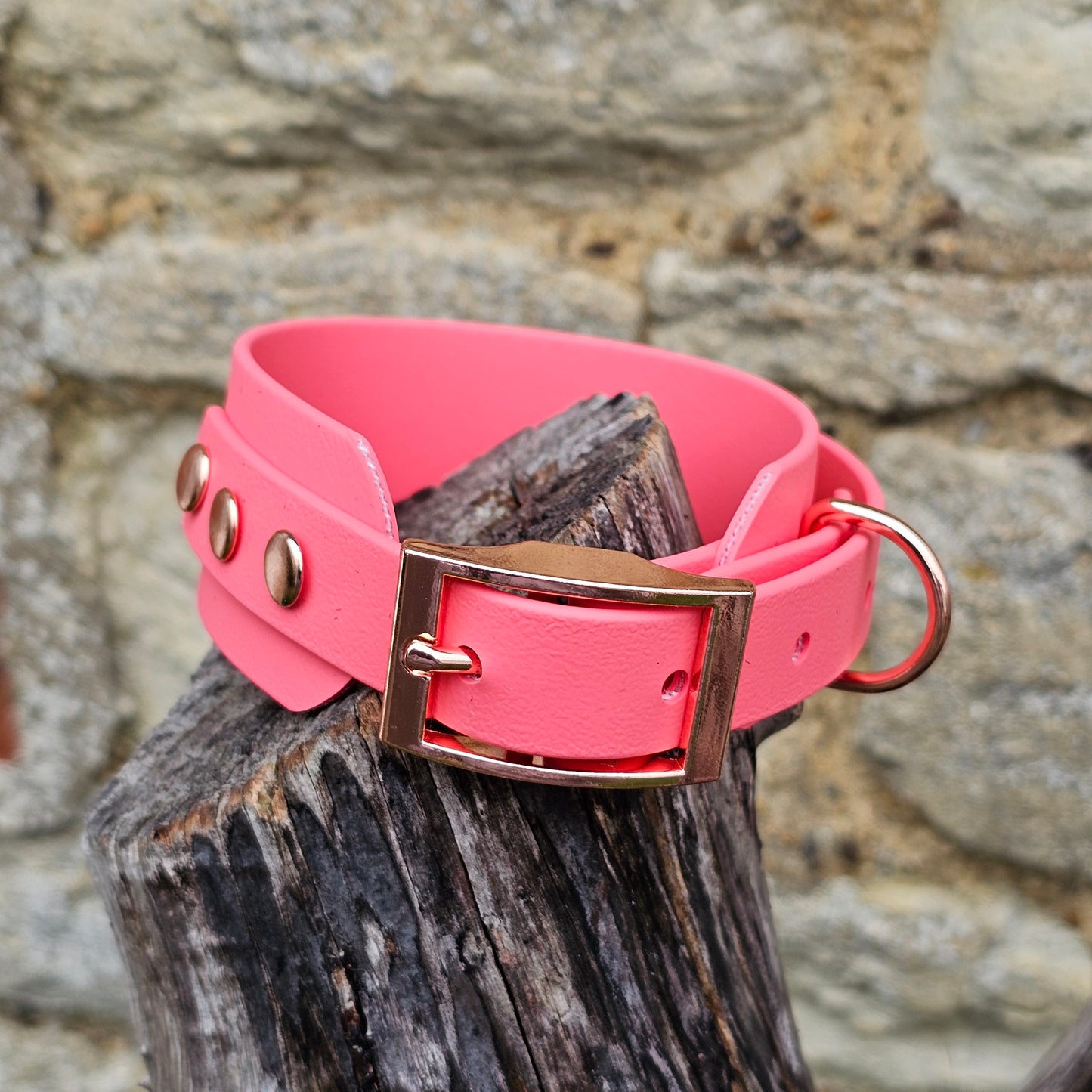 Coral - Waterproof BioThane® Sighthound Collar / wide-fit Dog Collar