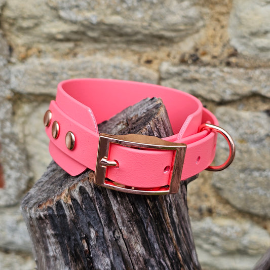 Coral - Waterproof BioThane® Sighthound Collar / wide-fit Dog Collar