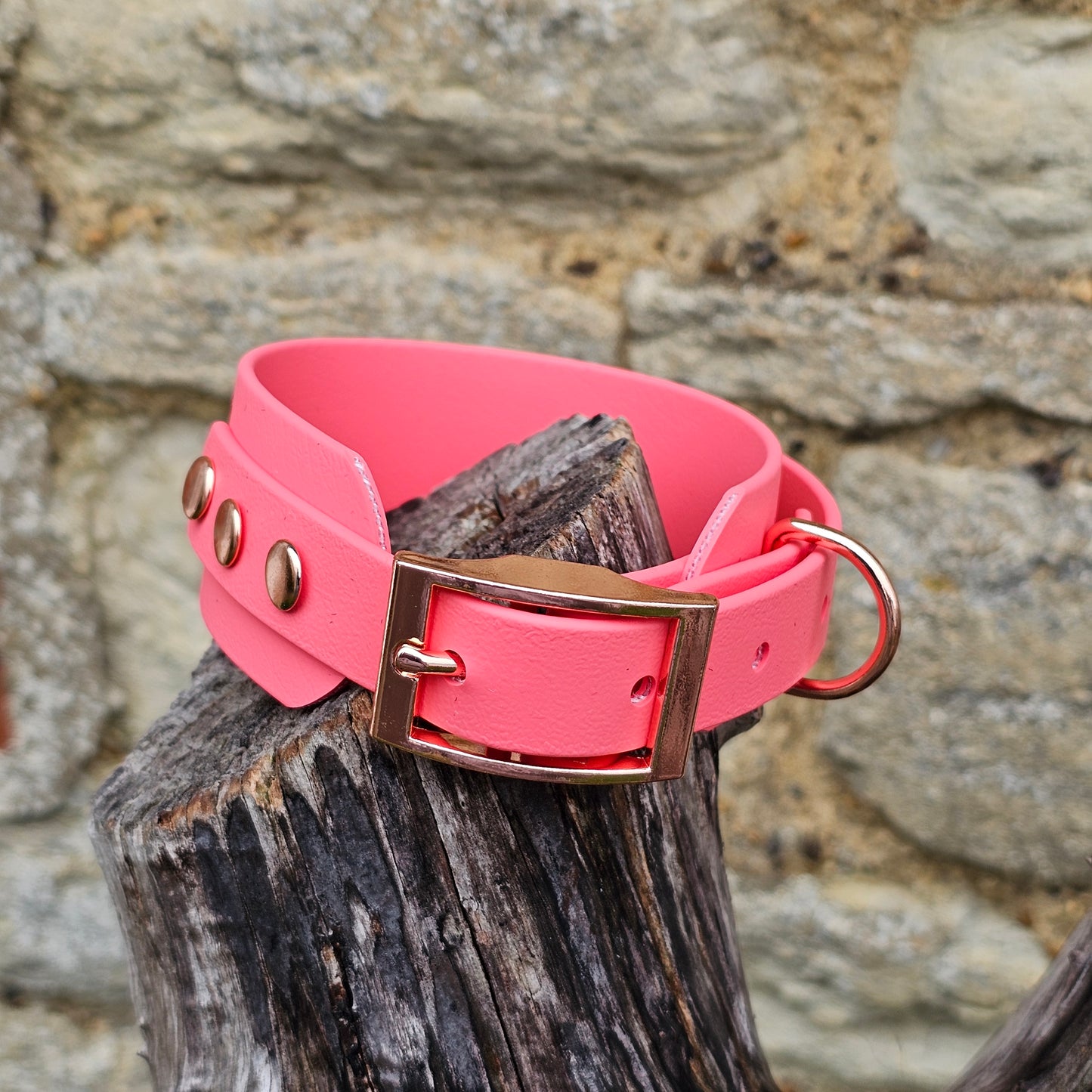 Coral - Waterproof BioThane® Sighthound Collar / wide-fit Dog Collar