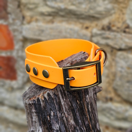 Orange - Waterproof BioThane® Sighthound Collar / wide-fit Dog Collar