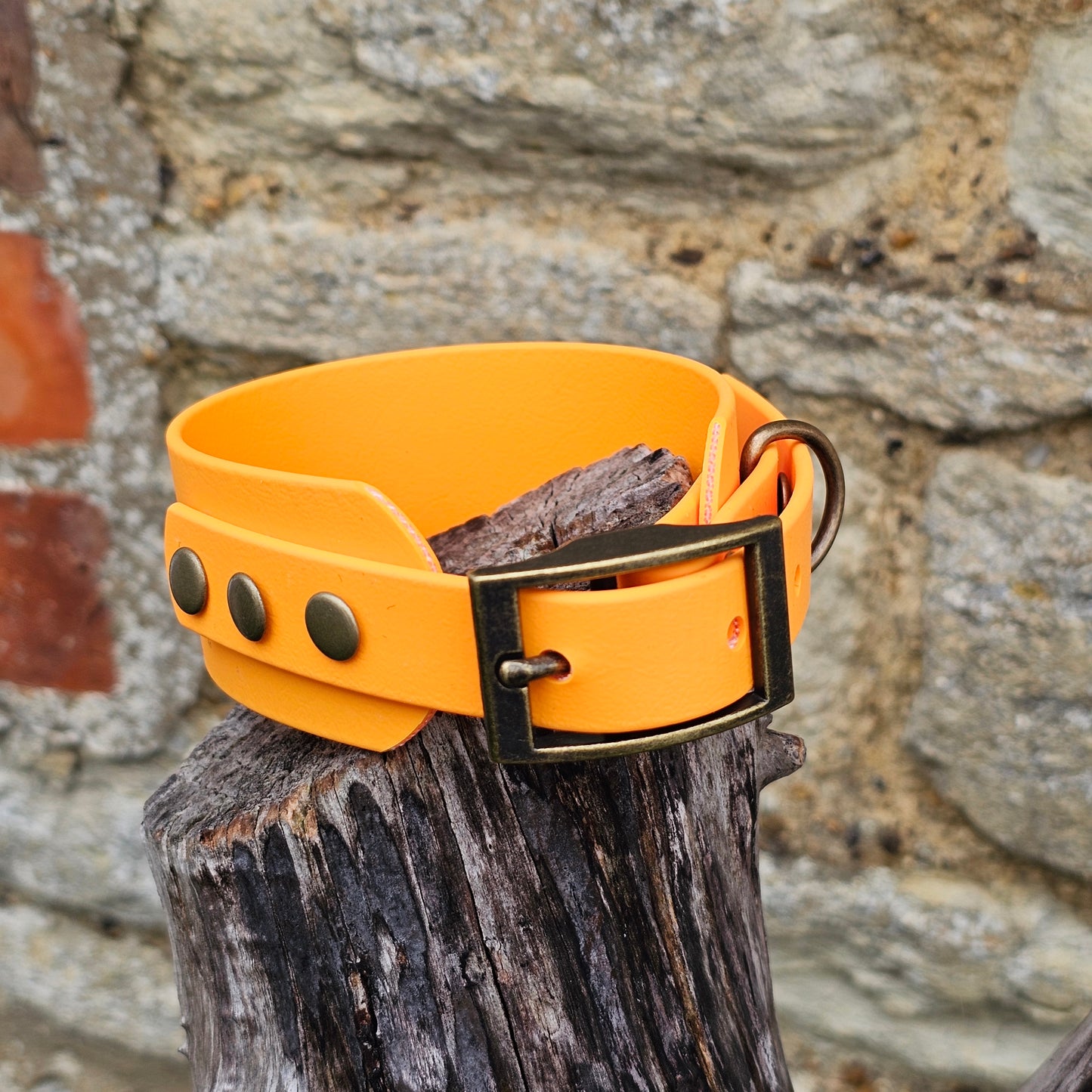 Orange - Waterproof BioThane® Sighthound Collar / wide-fit Dog Collar