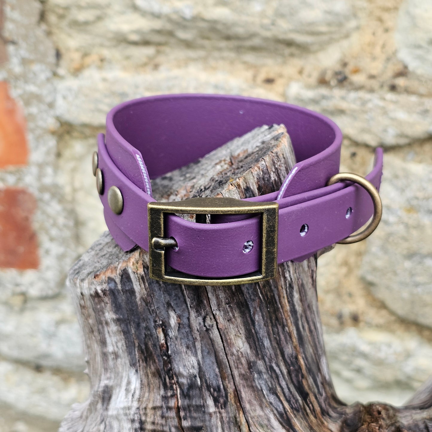 Aubergine - Waterproof BioThane® Sighthound Collar / wide-fit Dog Collar