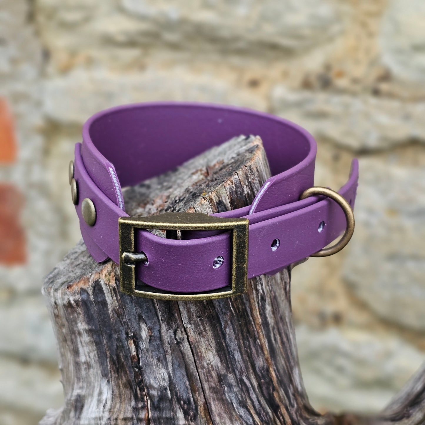 Aubergine - Waterproof BioThane® Sighthound Collar / wide-fit Dog Collar